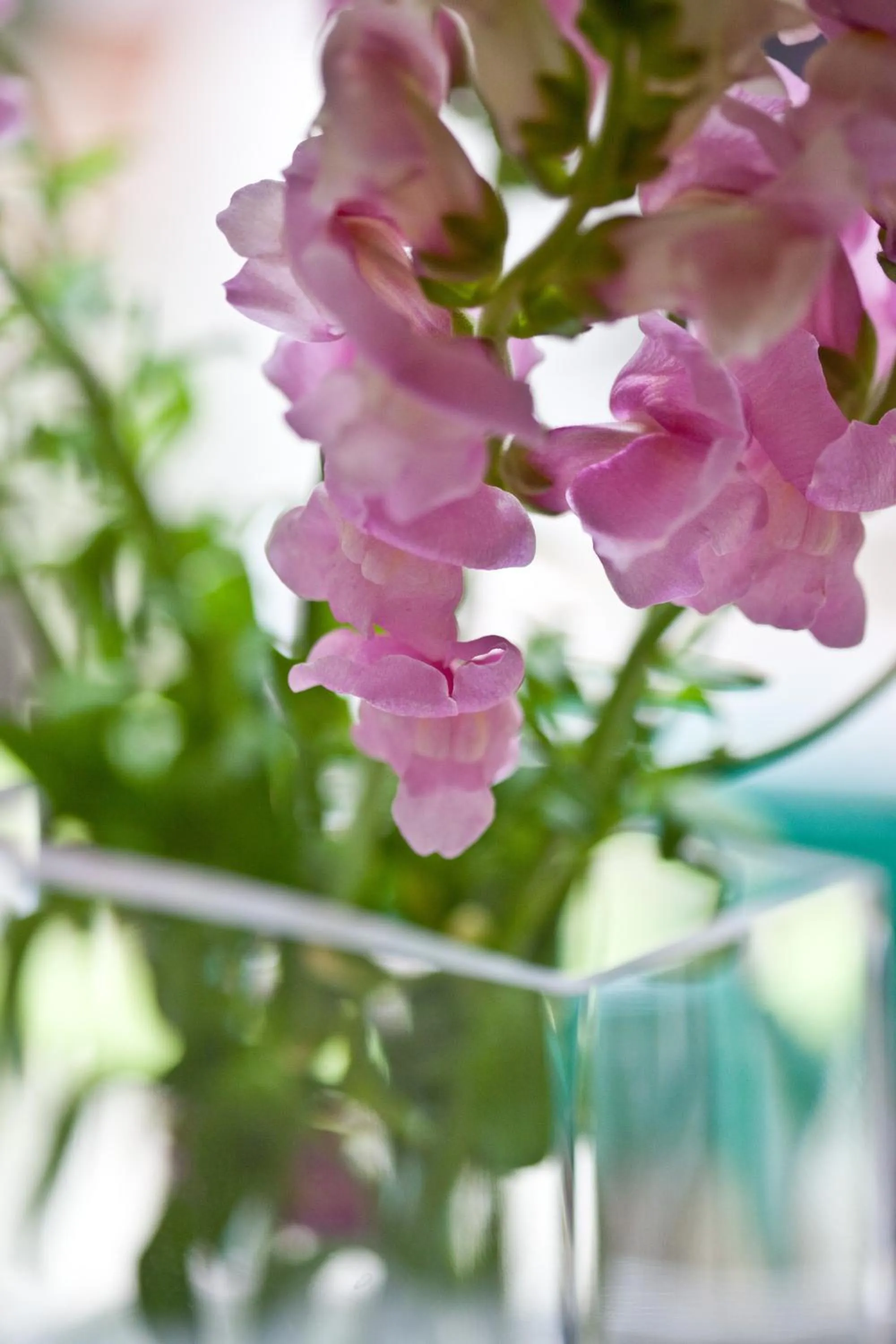 Decorative detail in Hotel Schwalbe