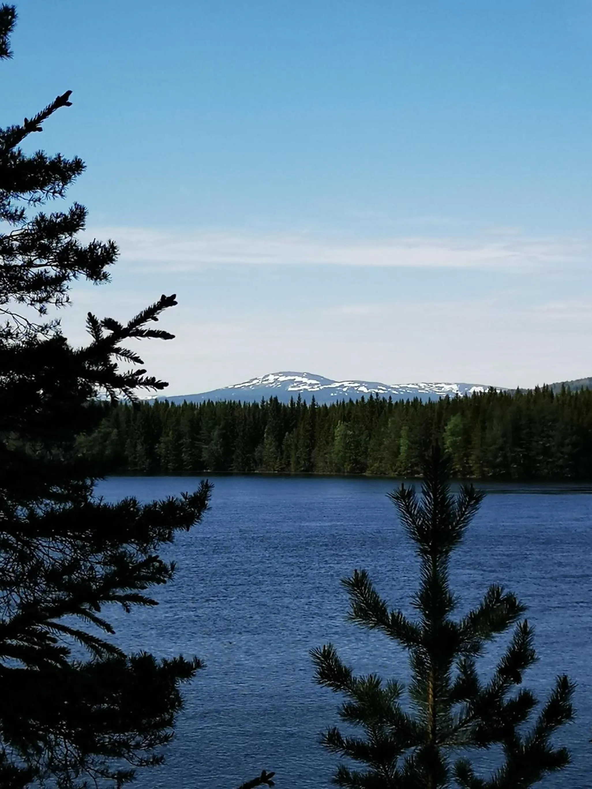 Åredalens fjällgård