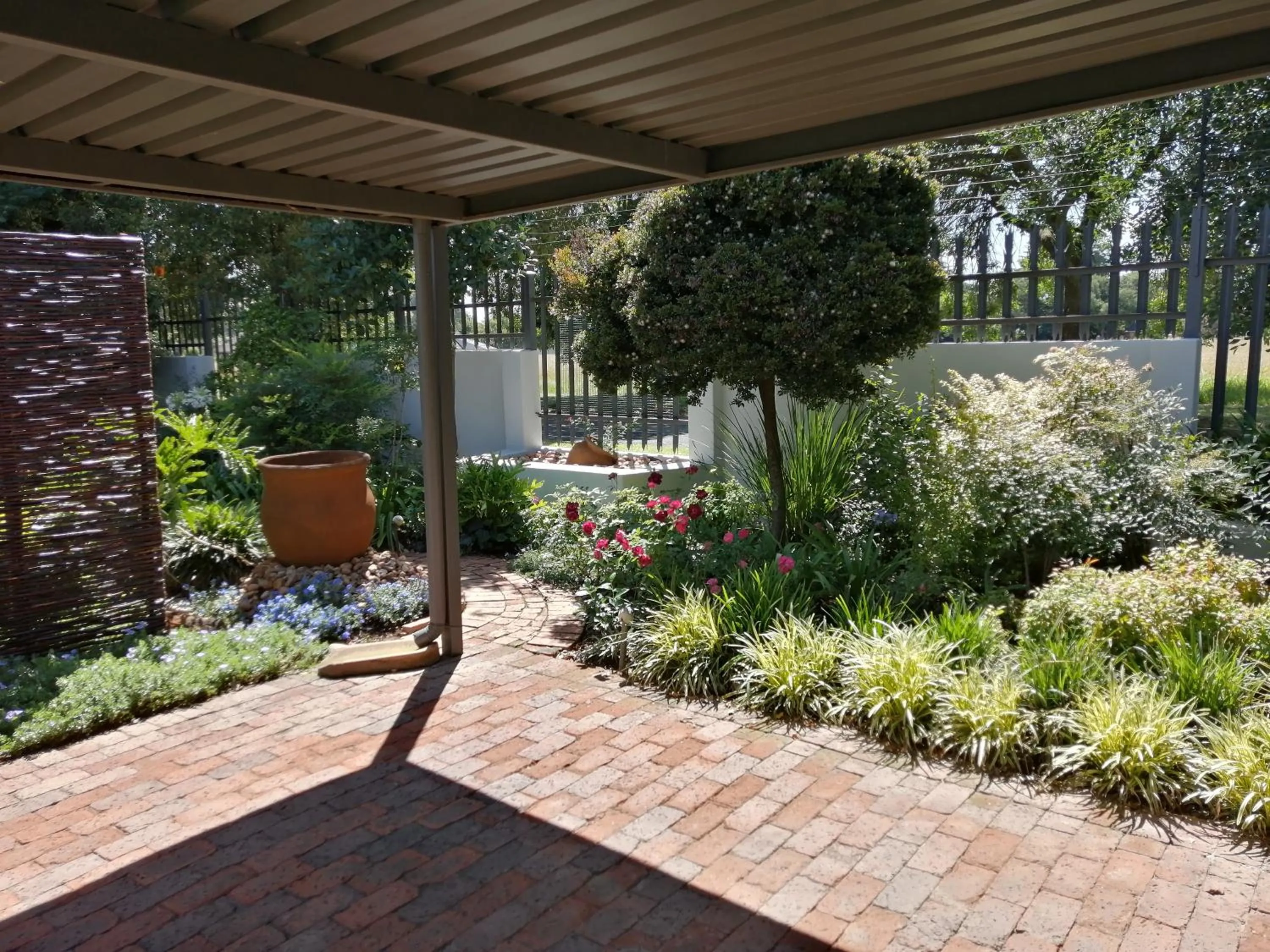Garden in Jasmine Guest Cottage