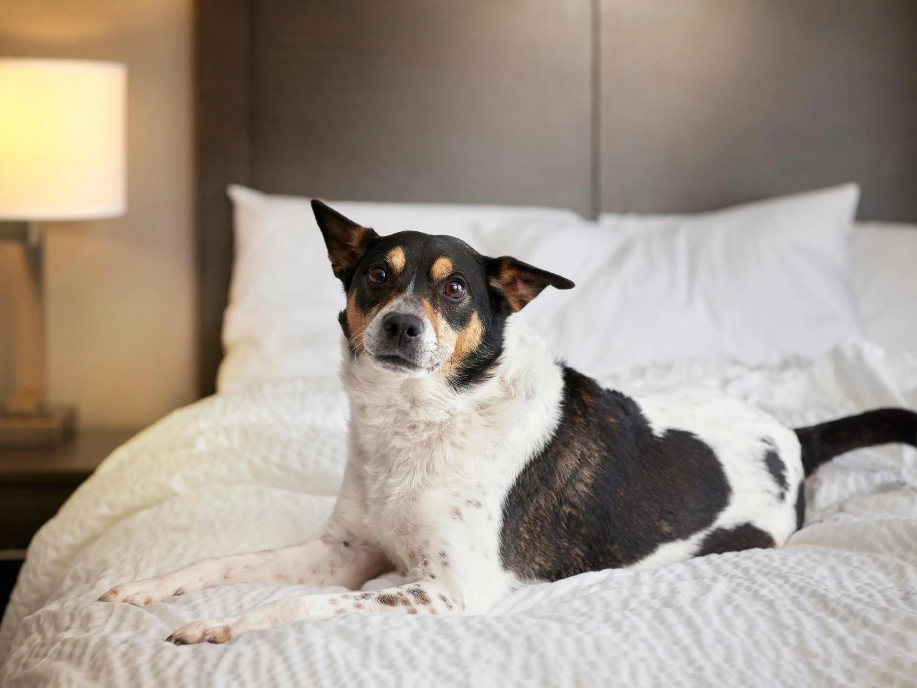 Lobby or reception in Garner Hotel Vienna - Prinz Eugen by IHG