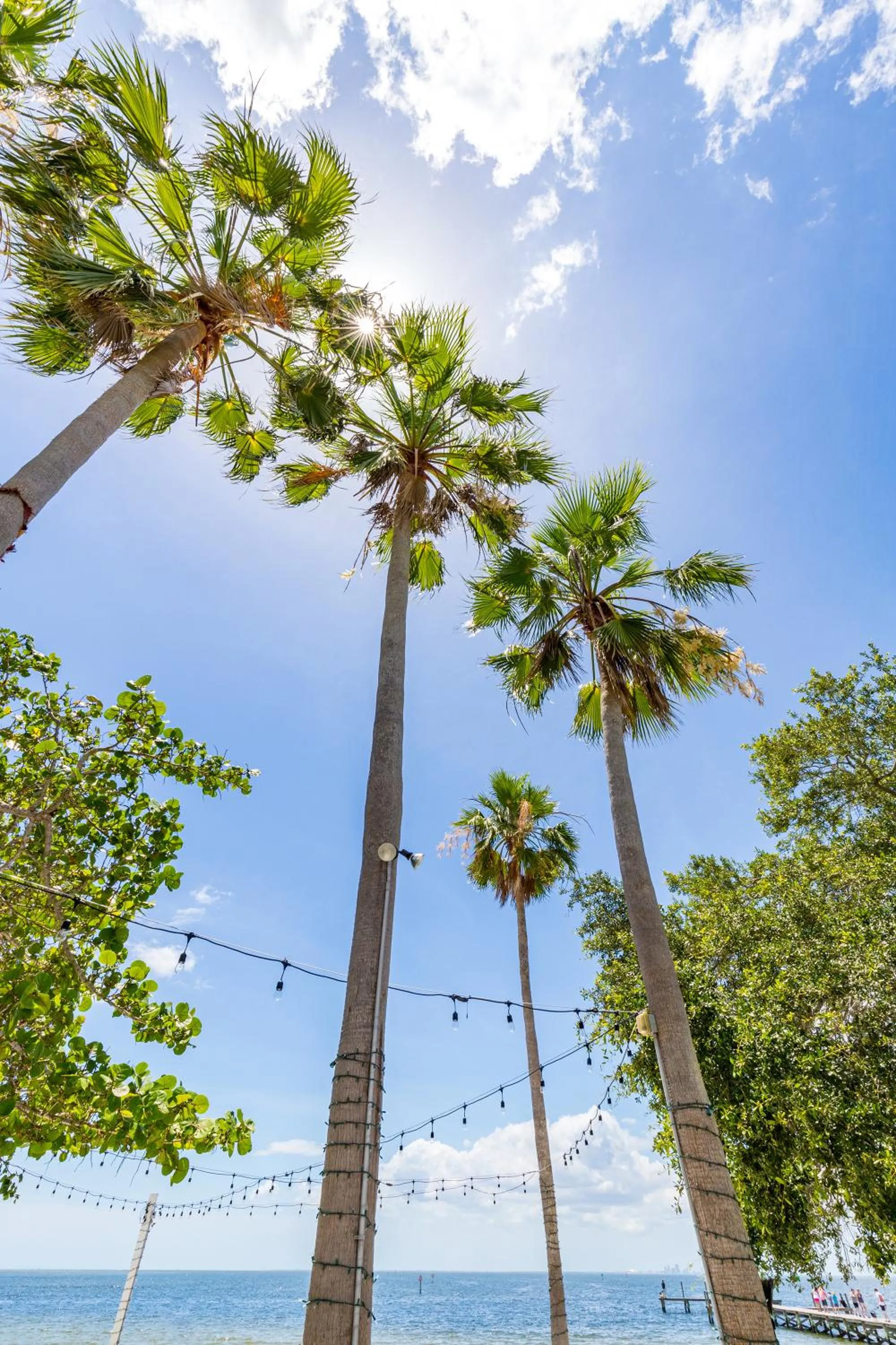 Day in The Blue Lagoon