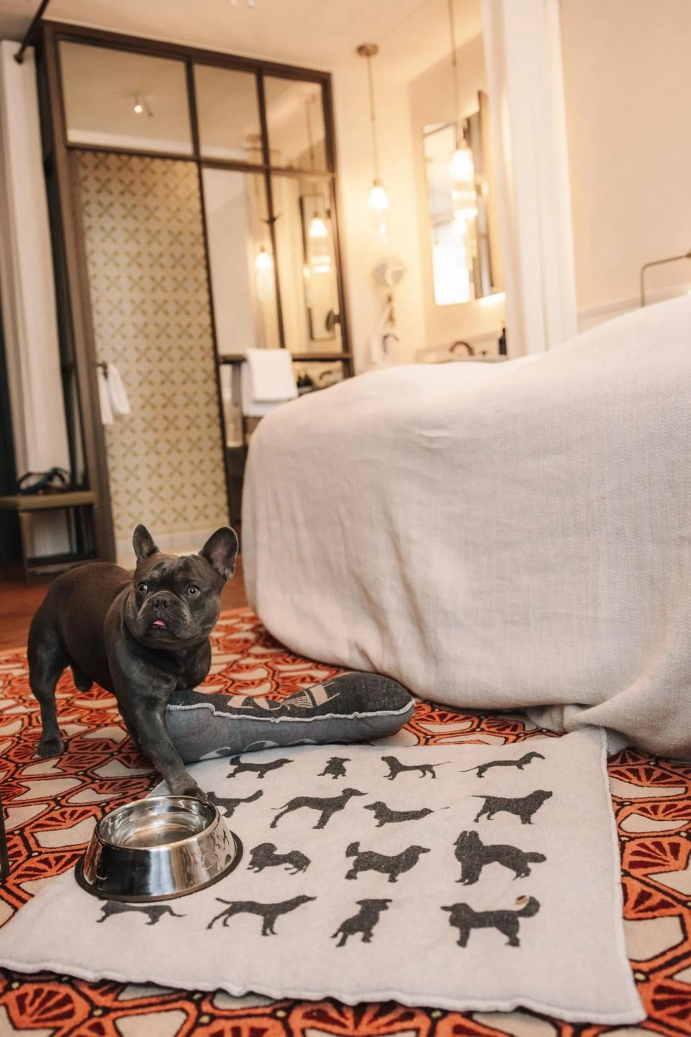Pets, Bed in Hotel MOTTO