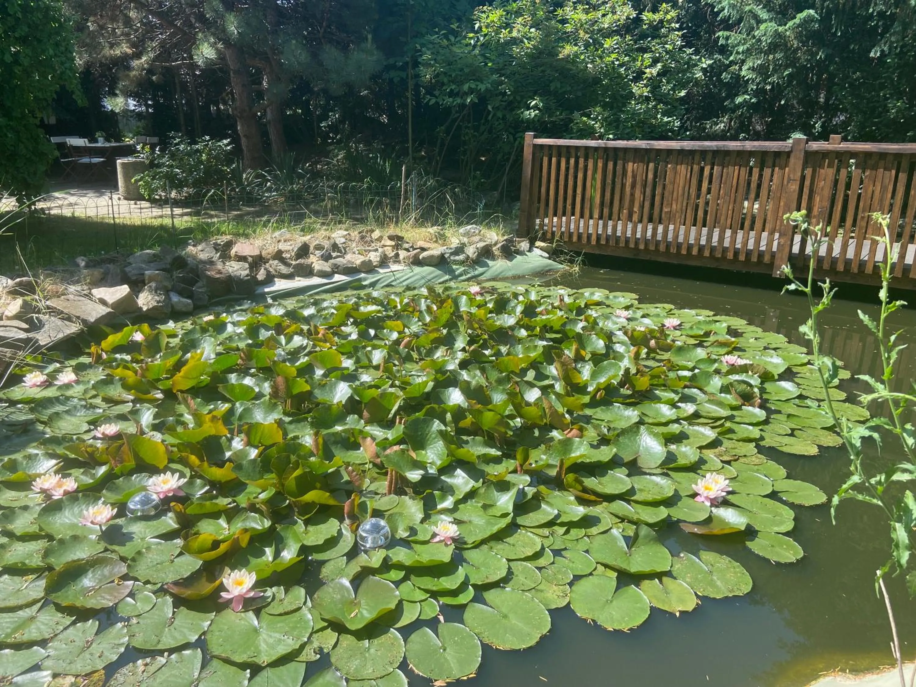 Garden in Harzhotel Warnstedter Krug