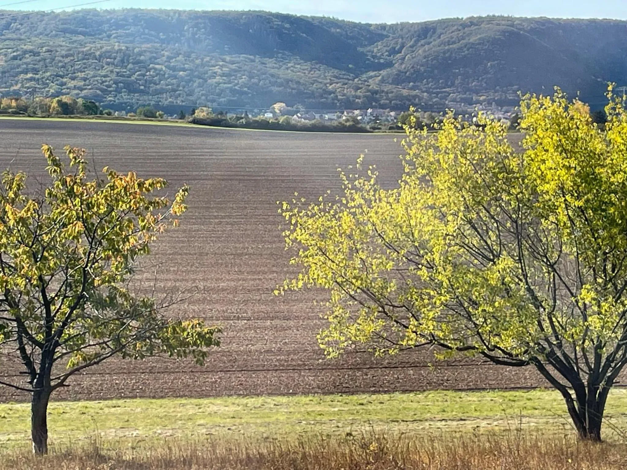 Natural landscape in Harzhotel Warnstedter Krug