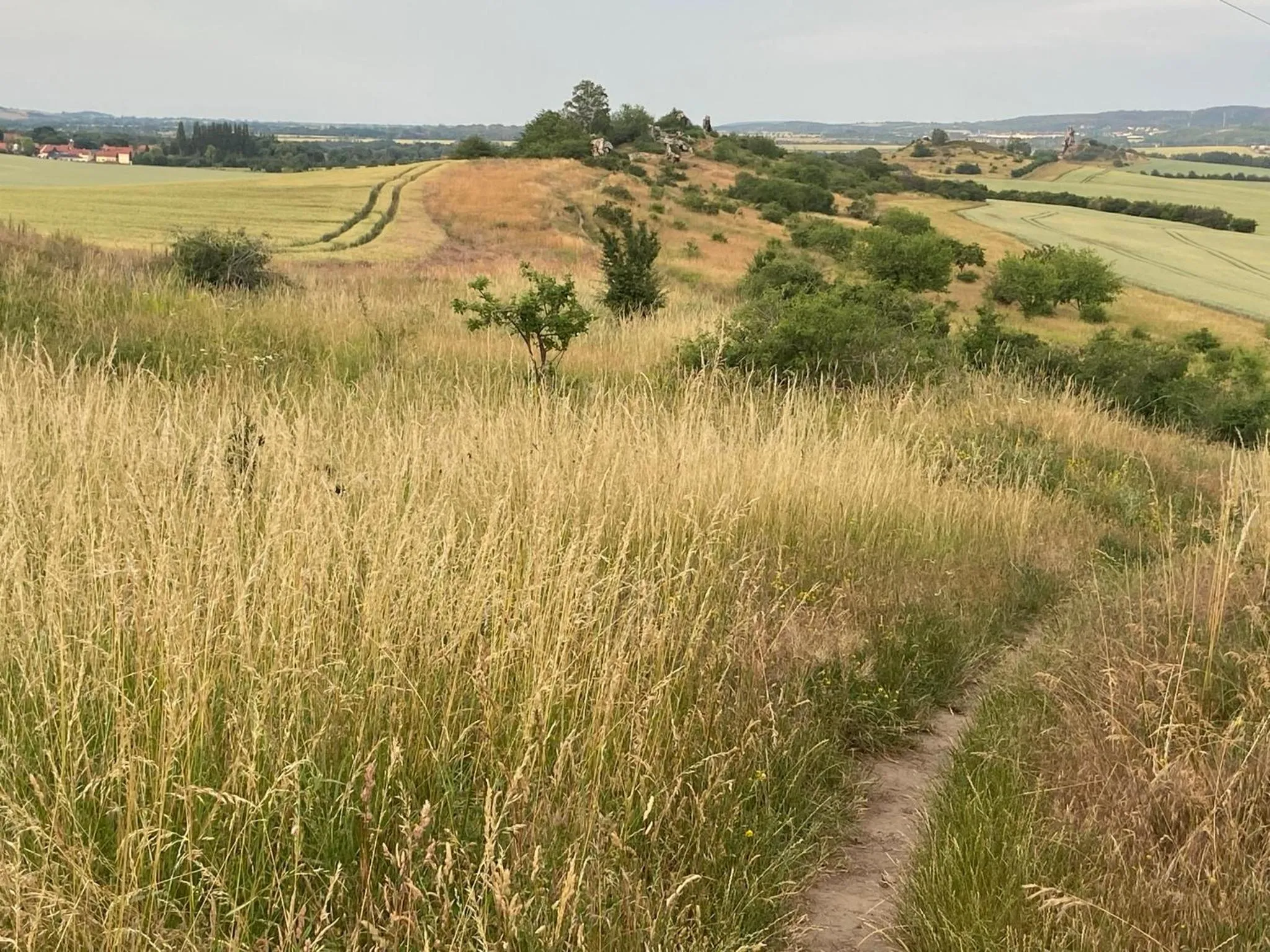 Natural landscape in Harzhotel Warnstedter Krug