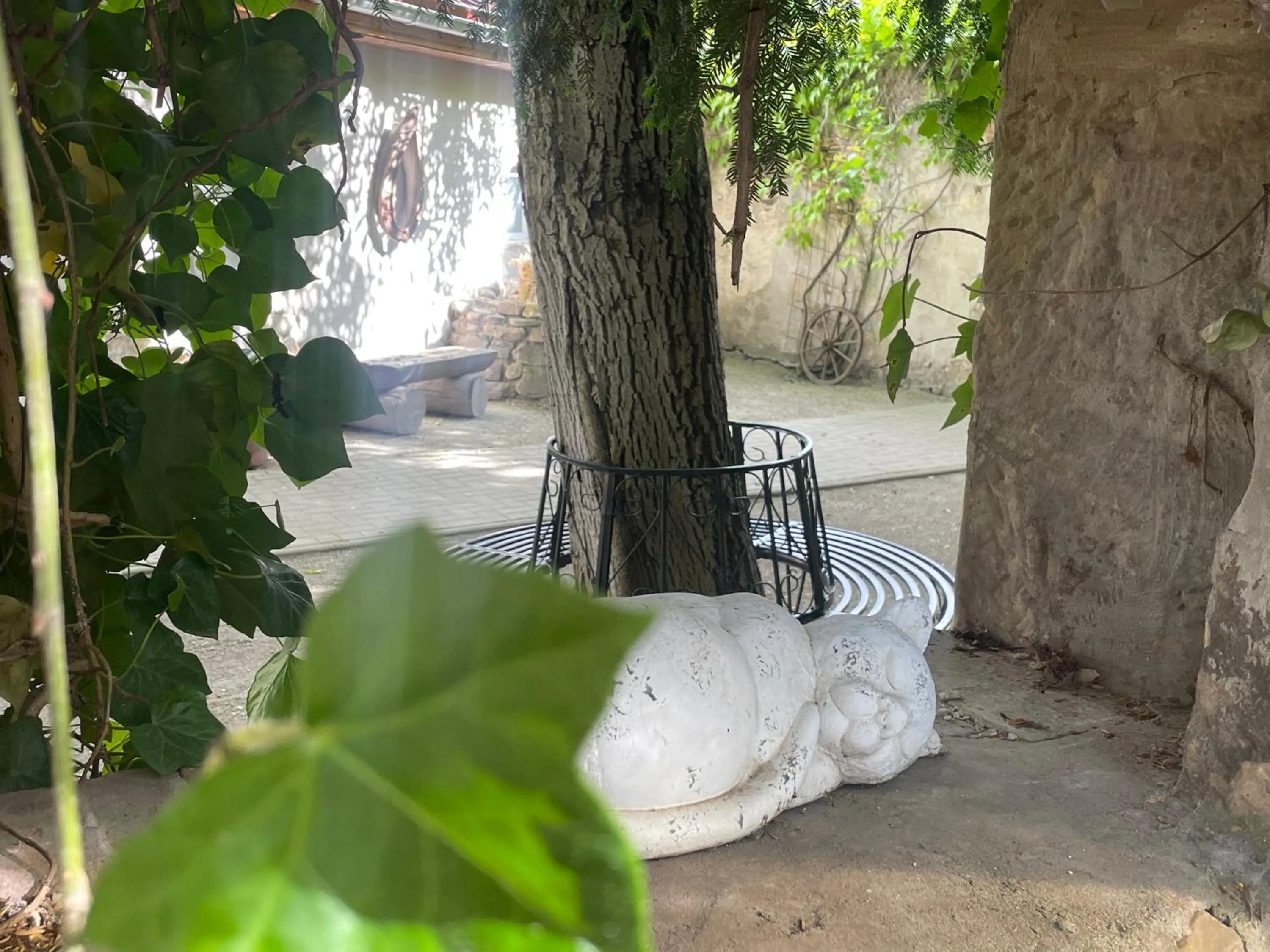 Garden in Harzhotel Warnstedter Krug