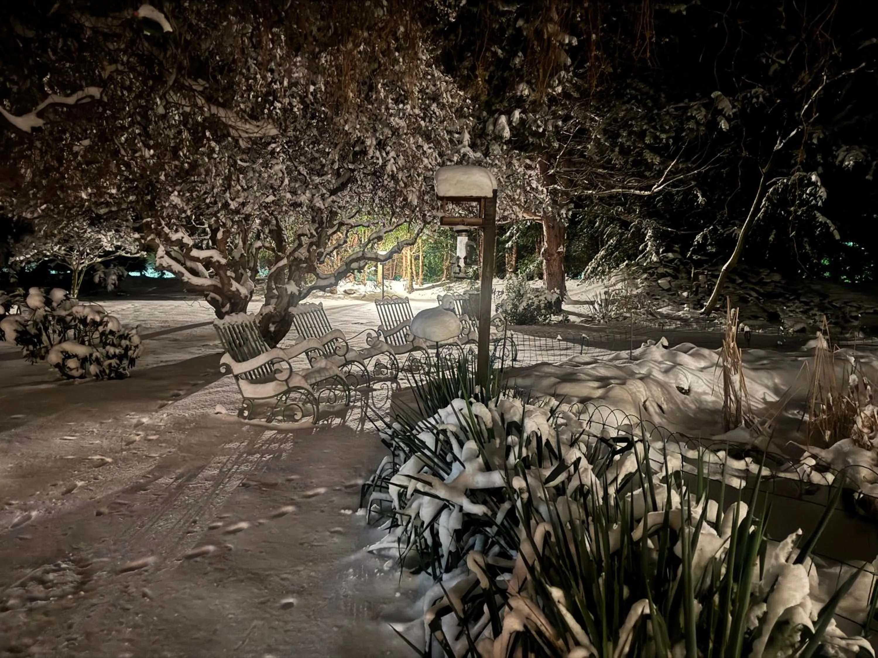 Harzhotel Warnstedter Krug