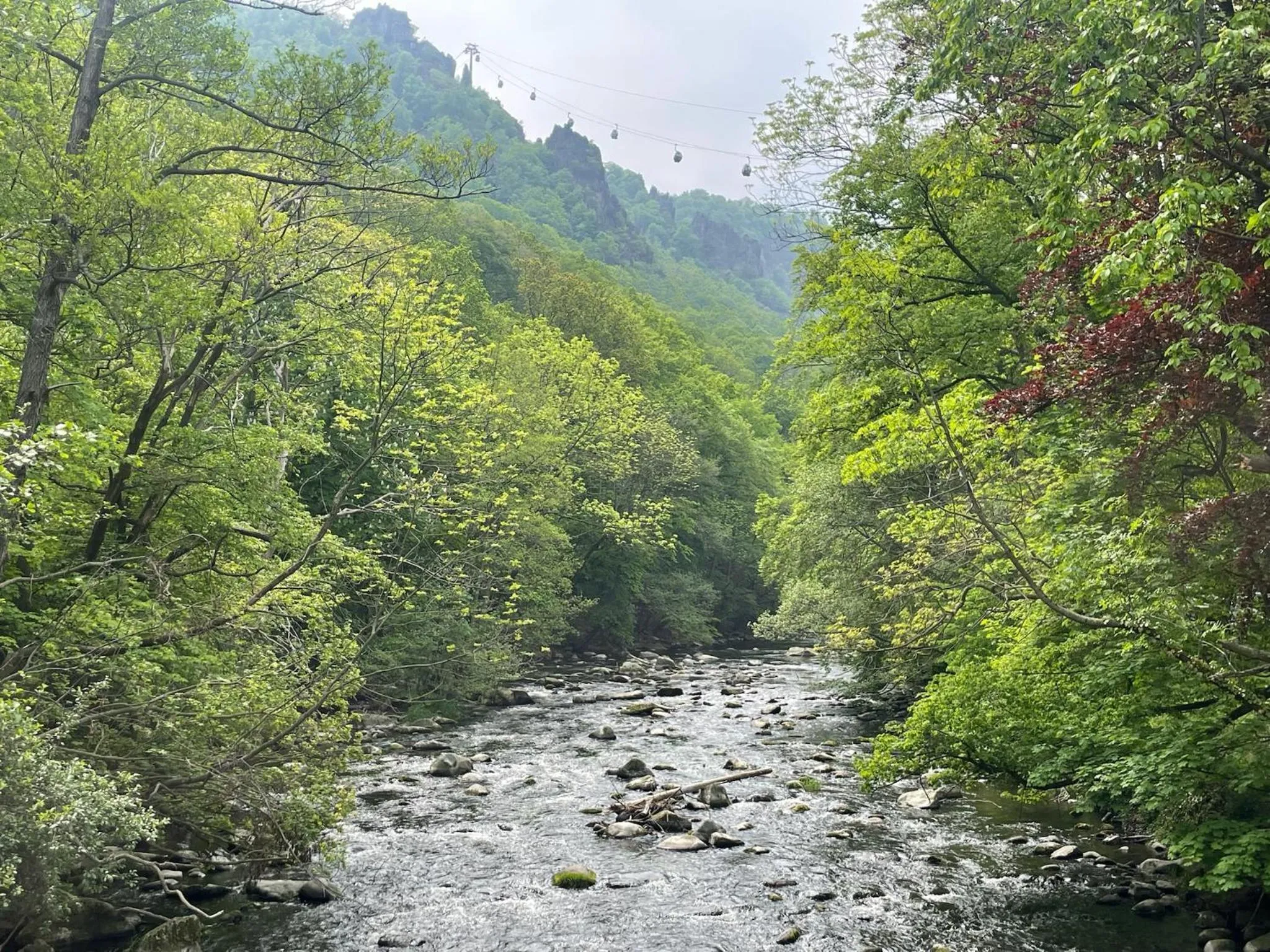 Harzhotel Warnstedter Krug