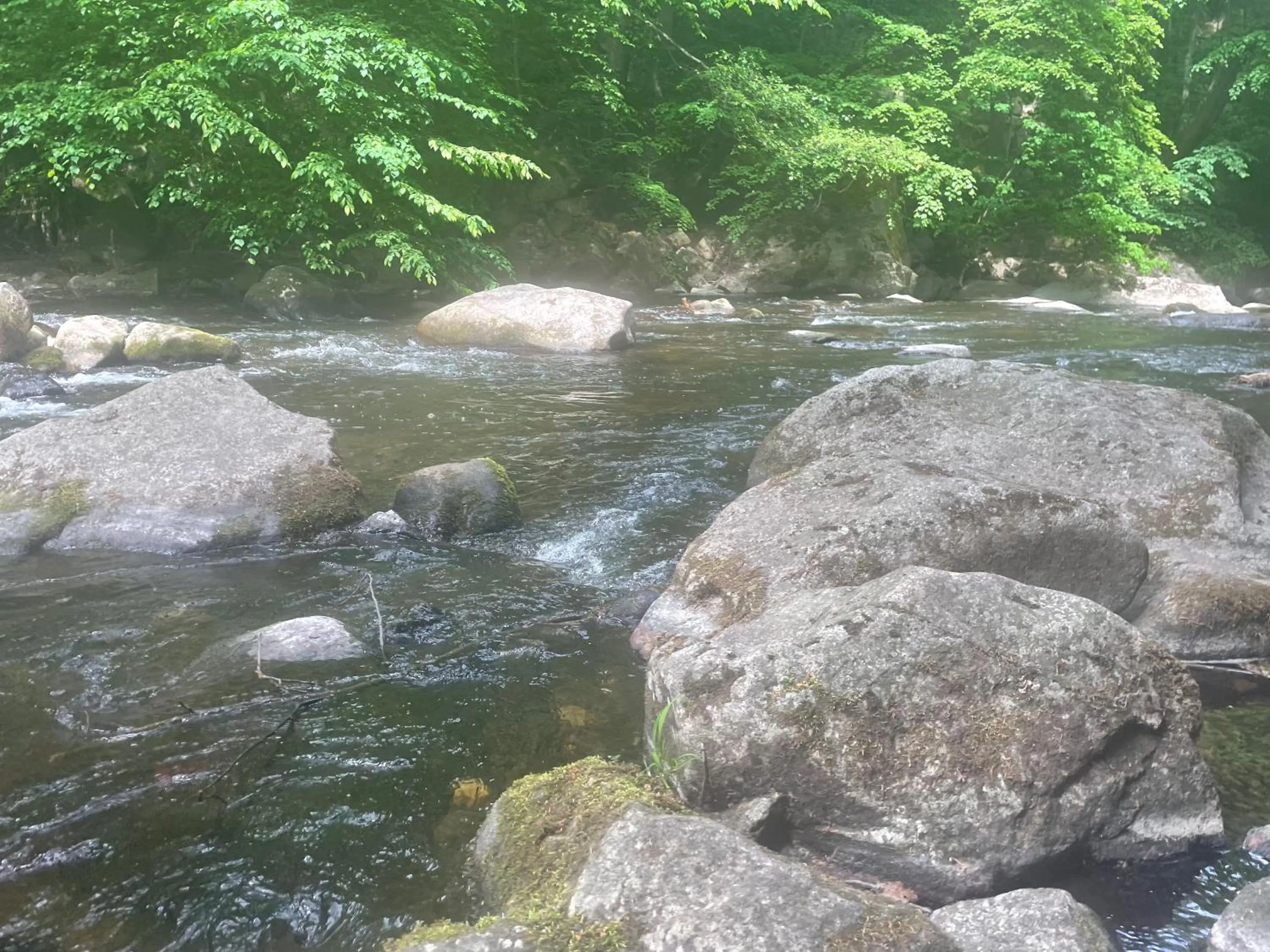 Harzhotel Warnstedter Krug