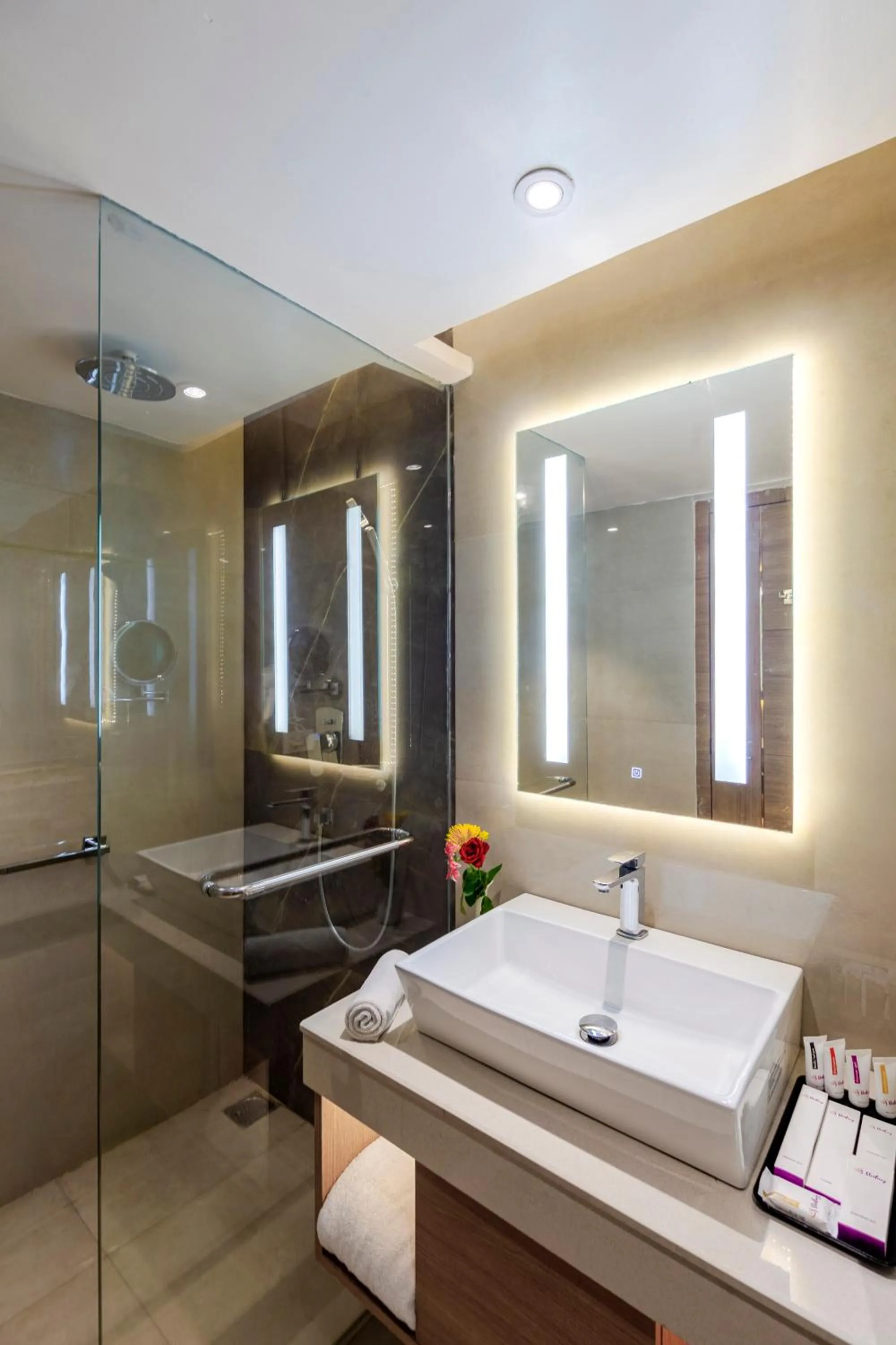 Bathroom in Sterling City Centre, Bokaro