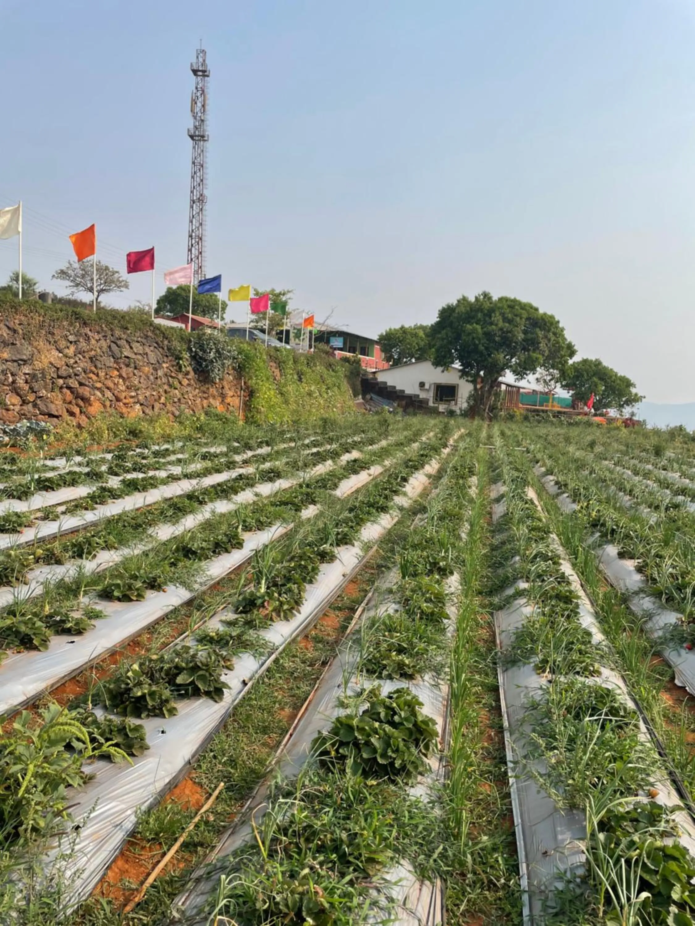 Natural landscape in Heavens Edge Resort