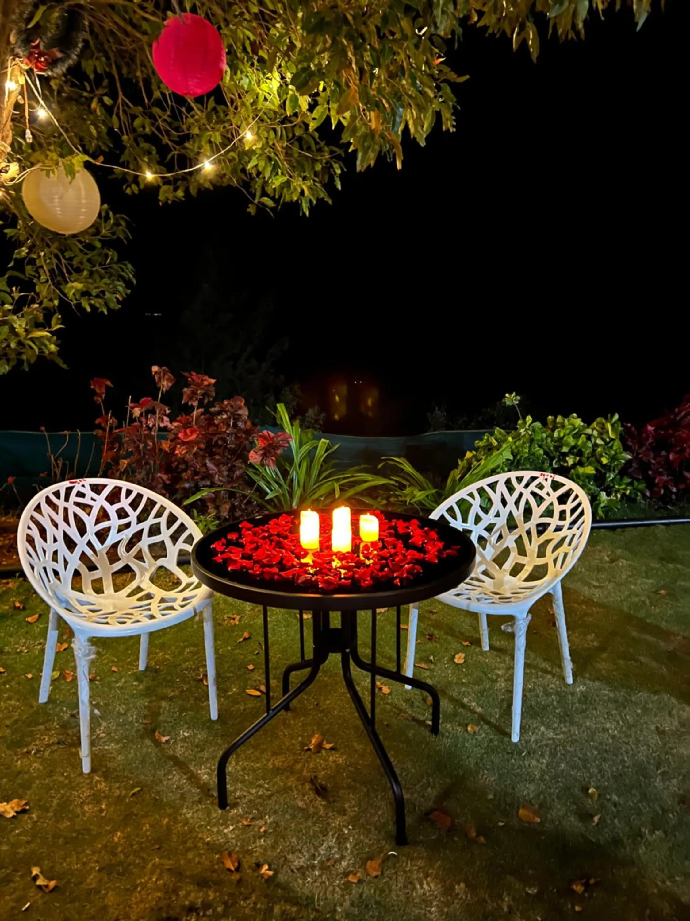 Garden in Heavens Edge Resort