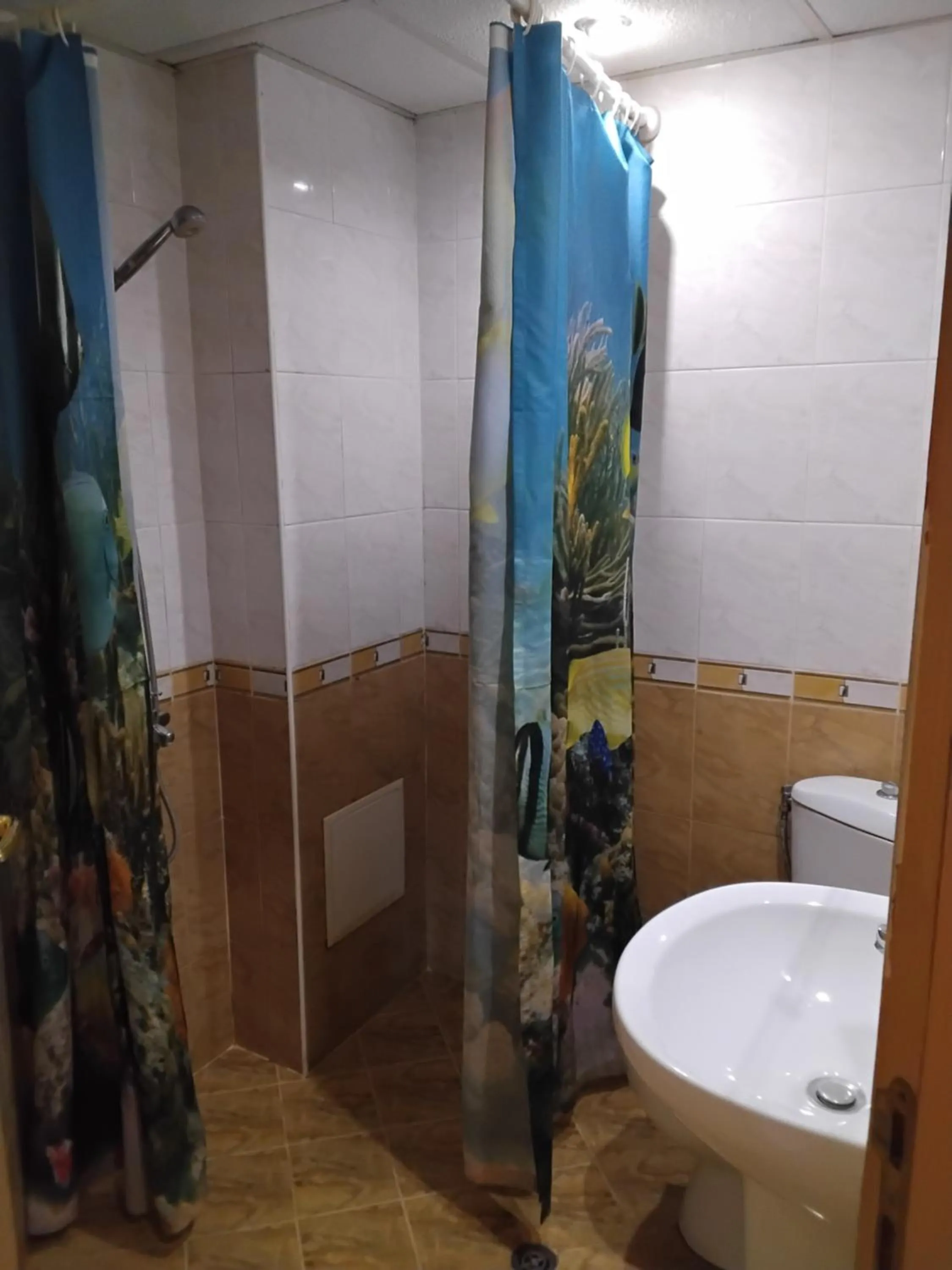 Shower in Hotel Mehdjarel