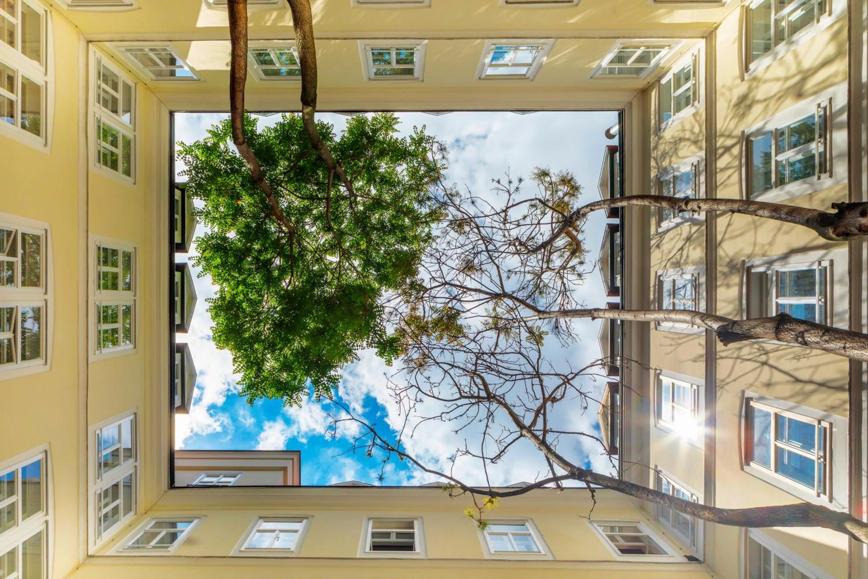 Inner courtyard view in The Levante Rathaus Apartments