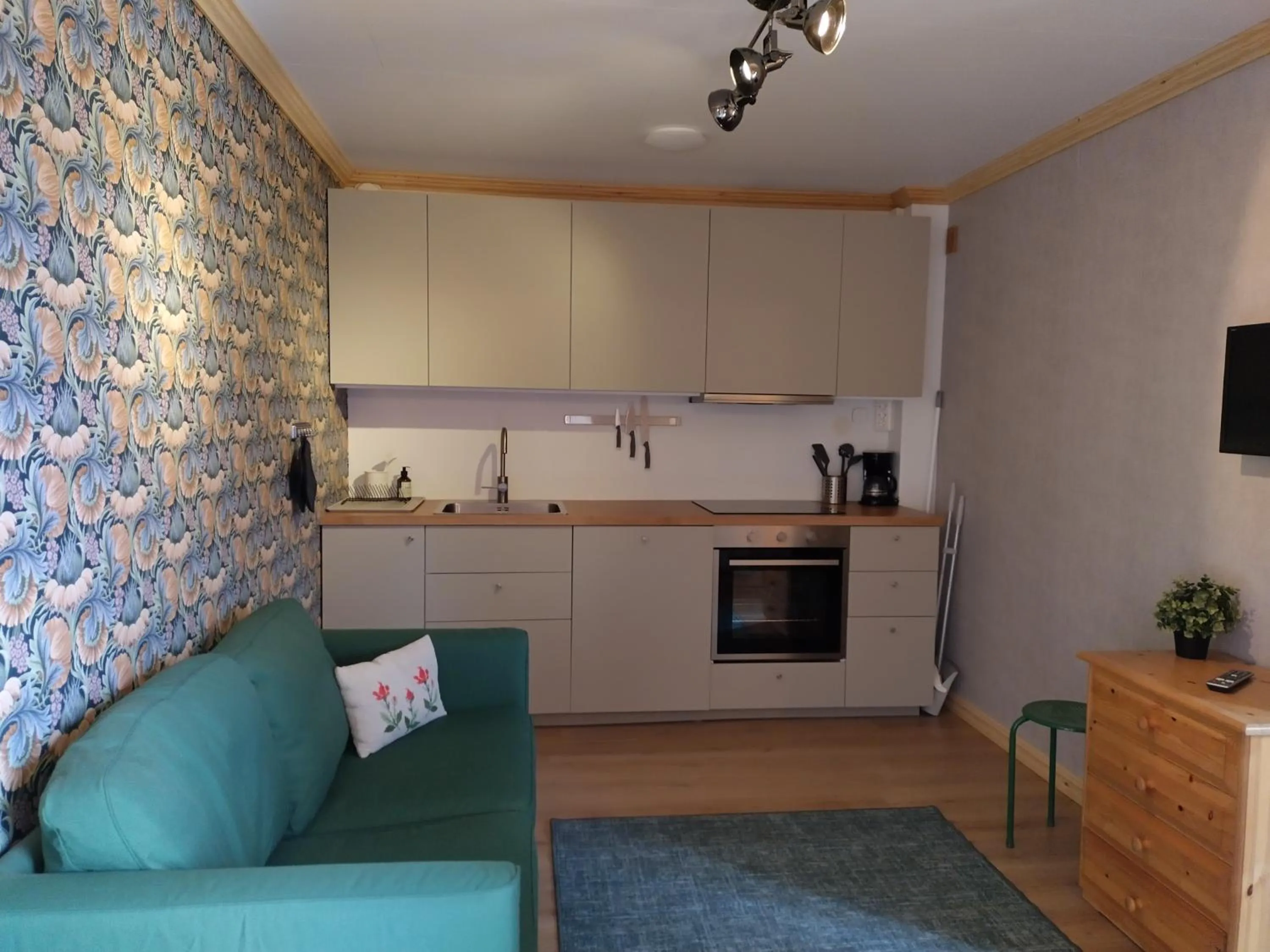 TV and multimedia in Hammarstrand B&B och lägenhet