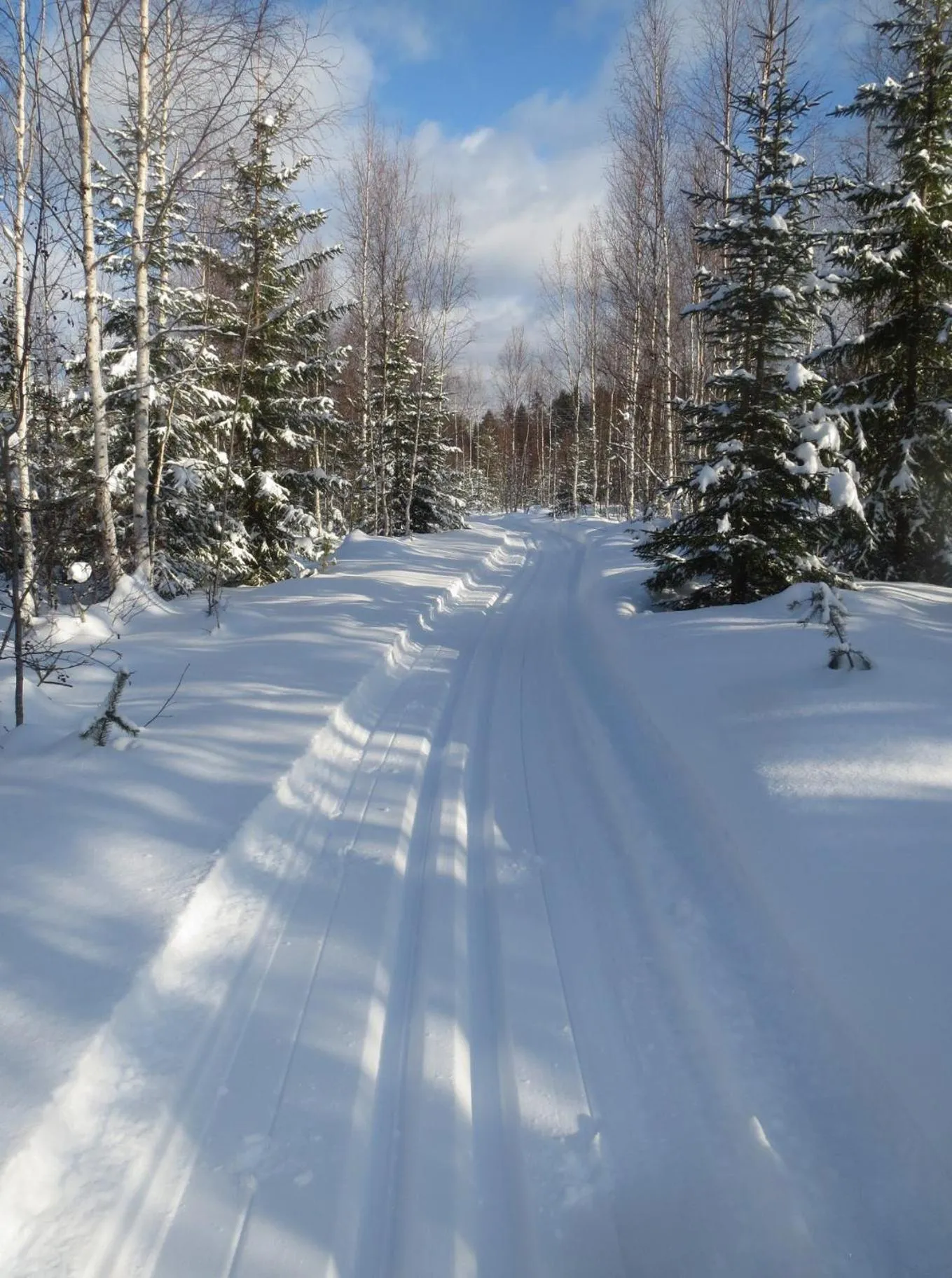 Winter in Hammarstrand B&B och lägenhet