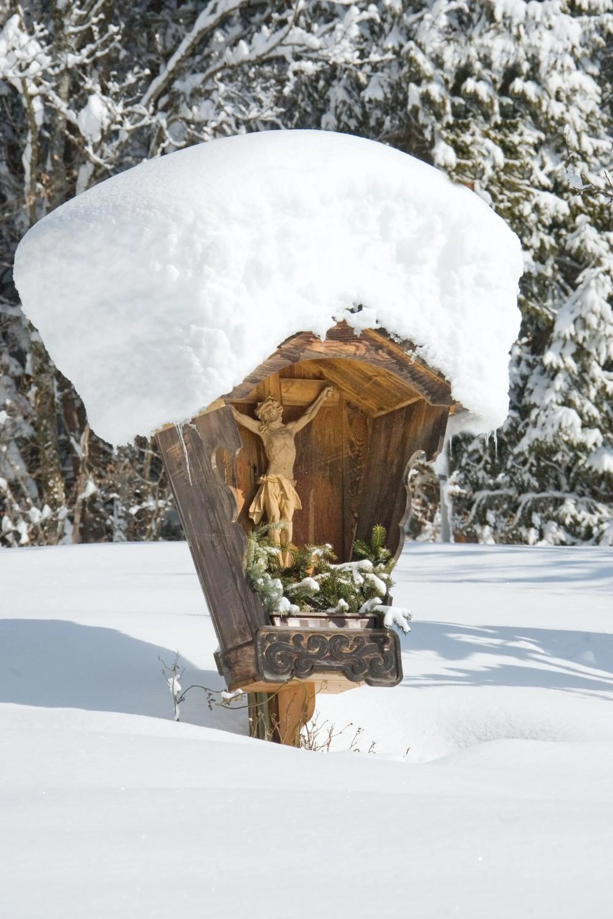 Area and facilities in Alpenhotel Speckbacher Hof