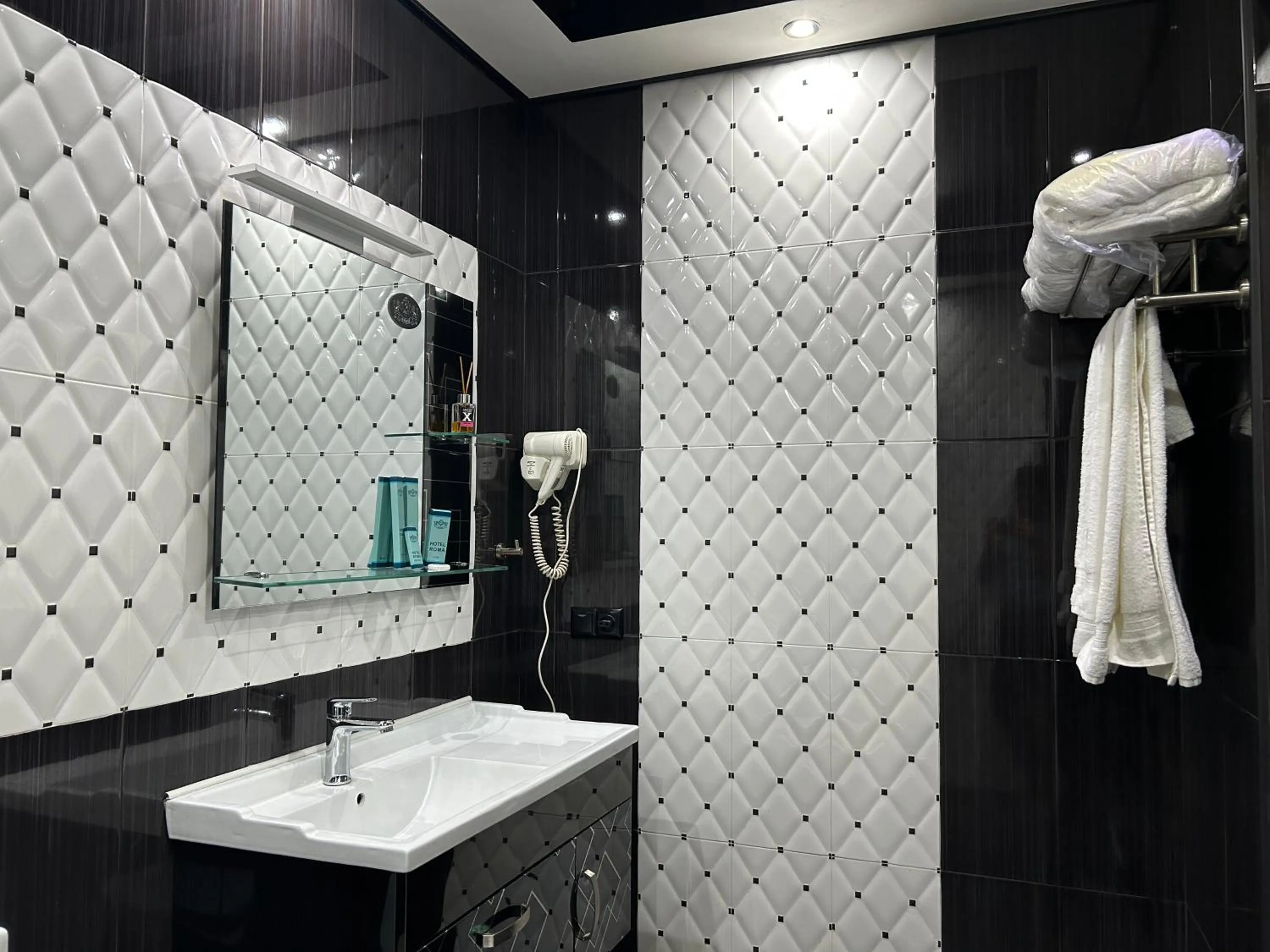 Shower in Hotel Roma & Tours