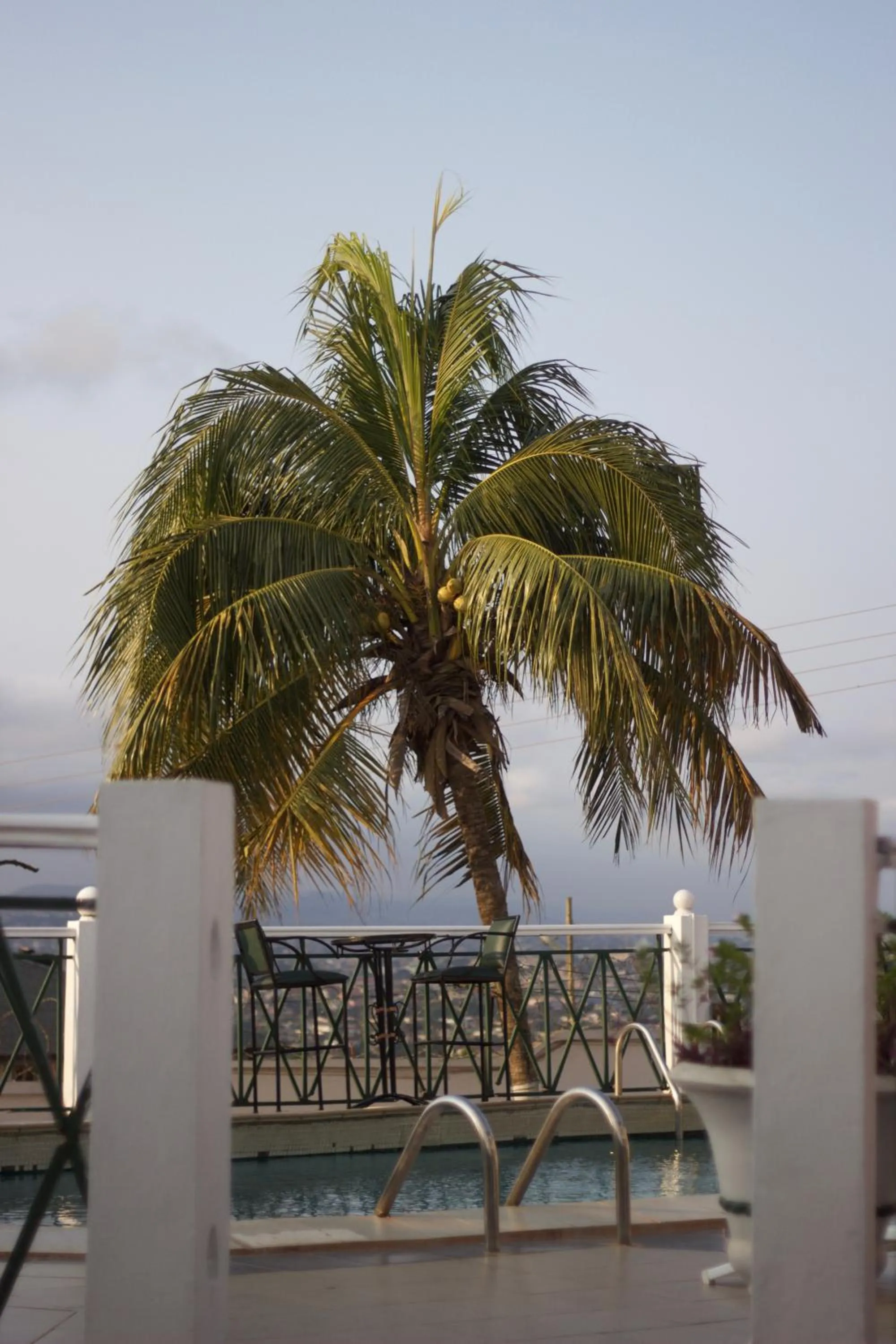 Restaurant/places to eat in Hill View Hotel McCarthy Hills