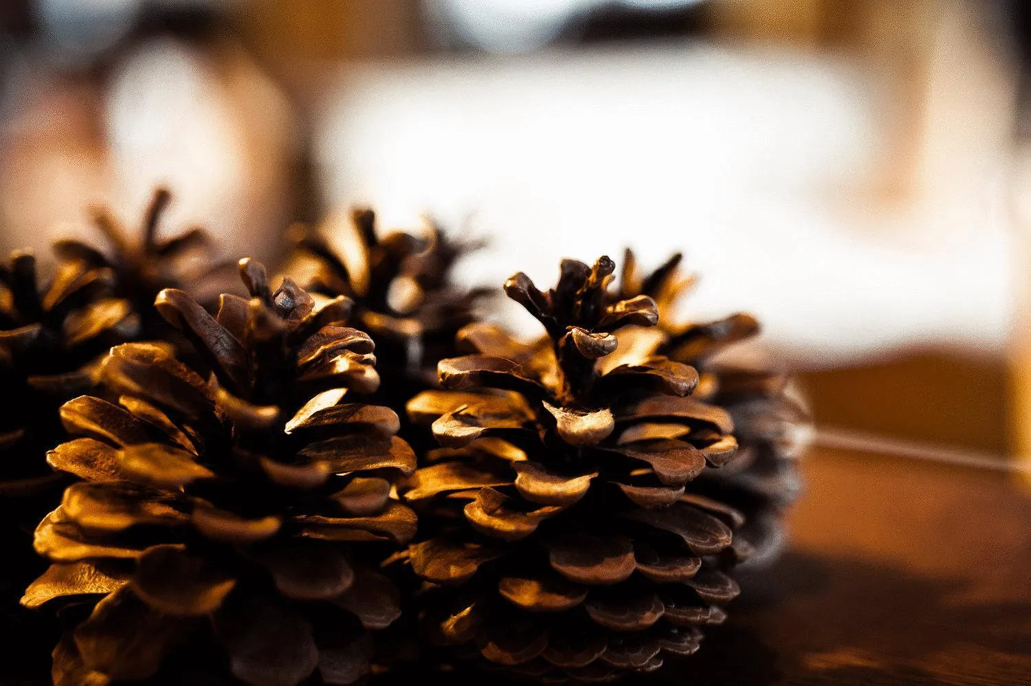 Other in Hotel Eschenhof & Apartments