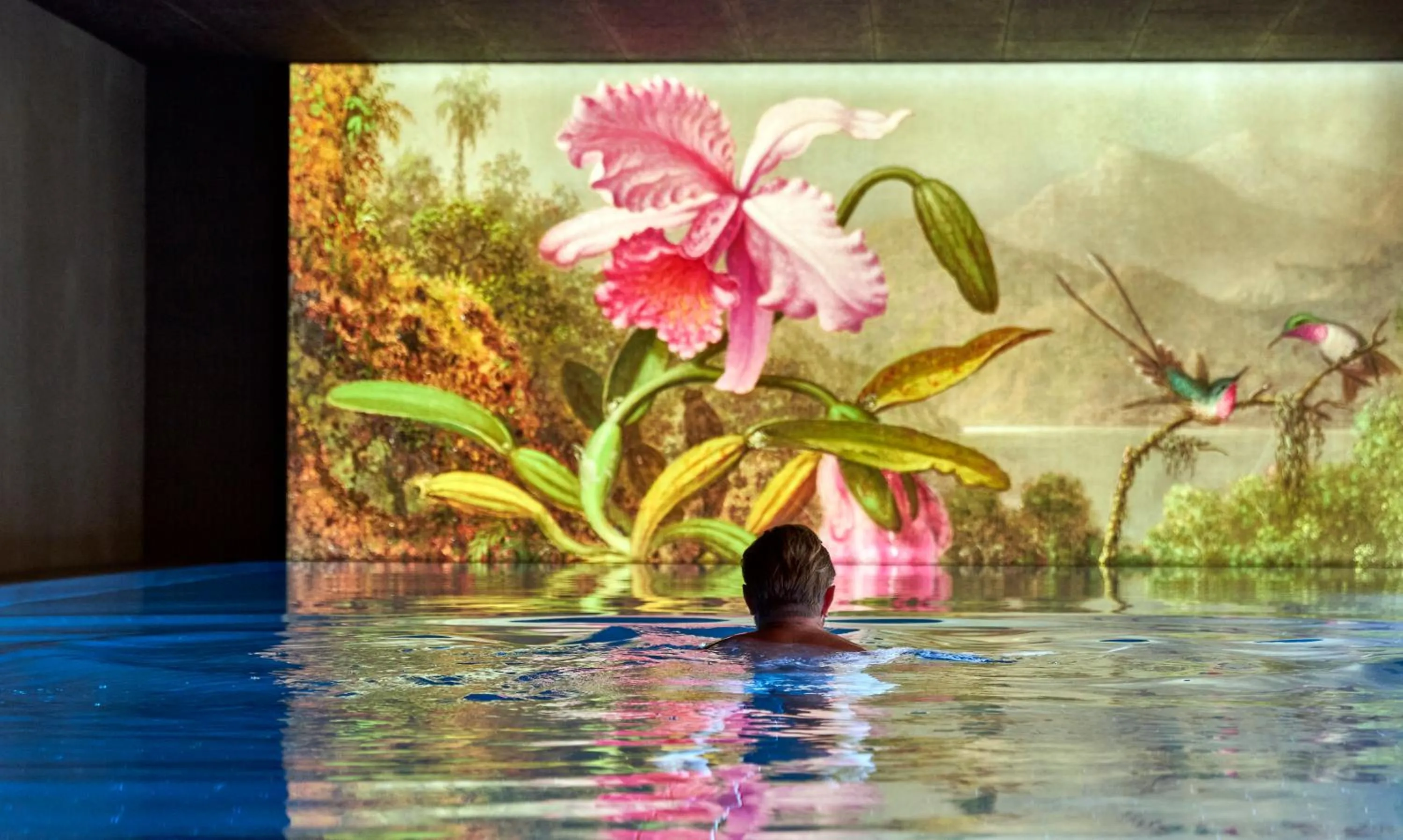 Swimming pool in Entners am See