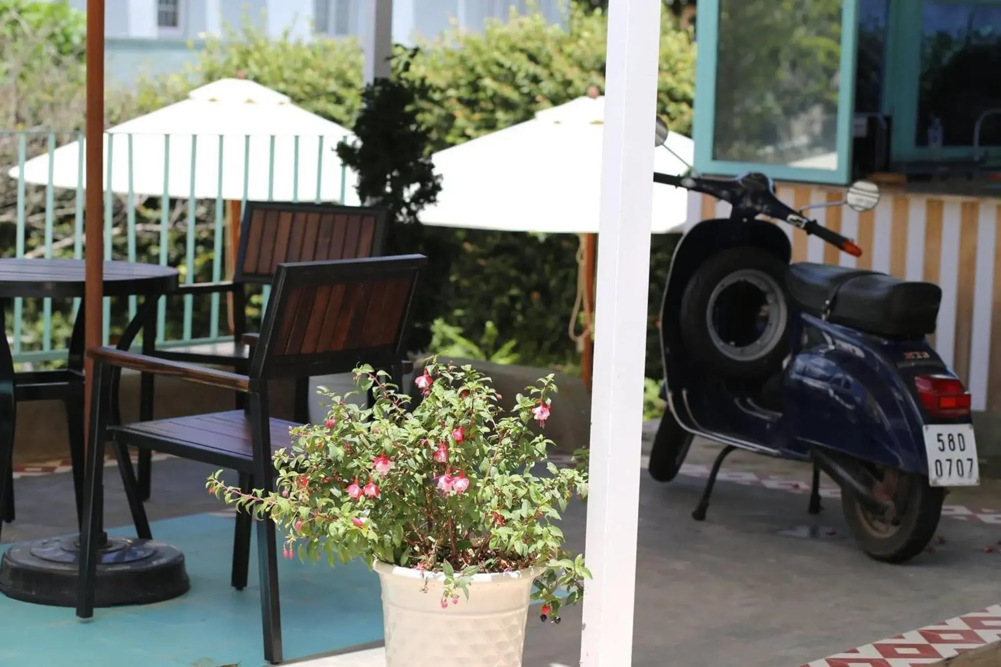 Garden view in The Scent Boutique Dalat Hotel Garden view in The Scent Boutique Dalat Hotel