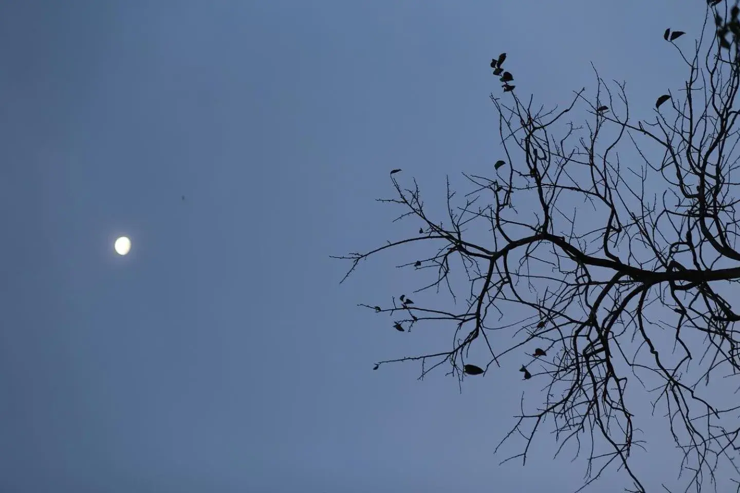 Property building in The Scent Boutique Dalat Hotel Property building in The Scent Boutique Dalat Hotel