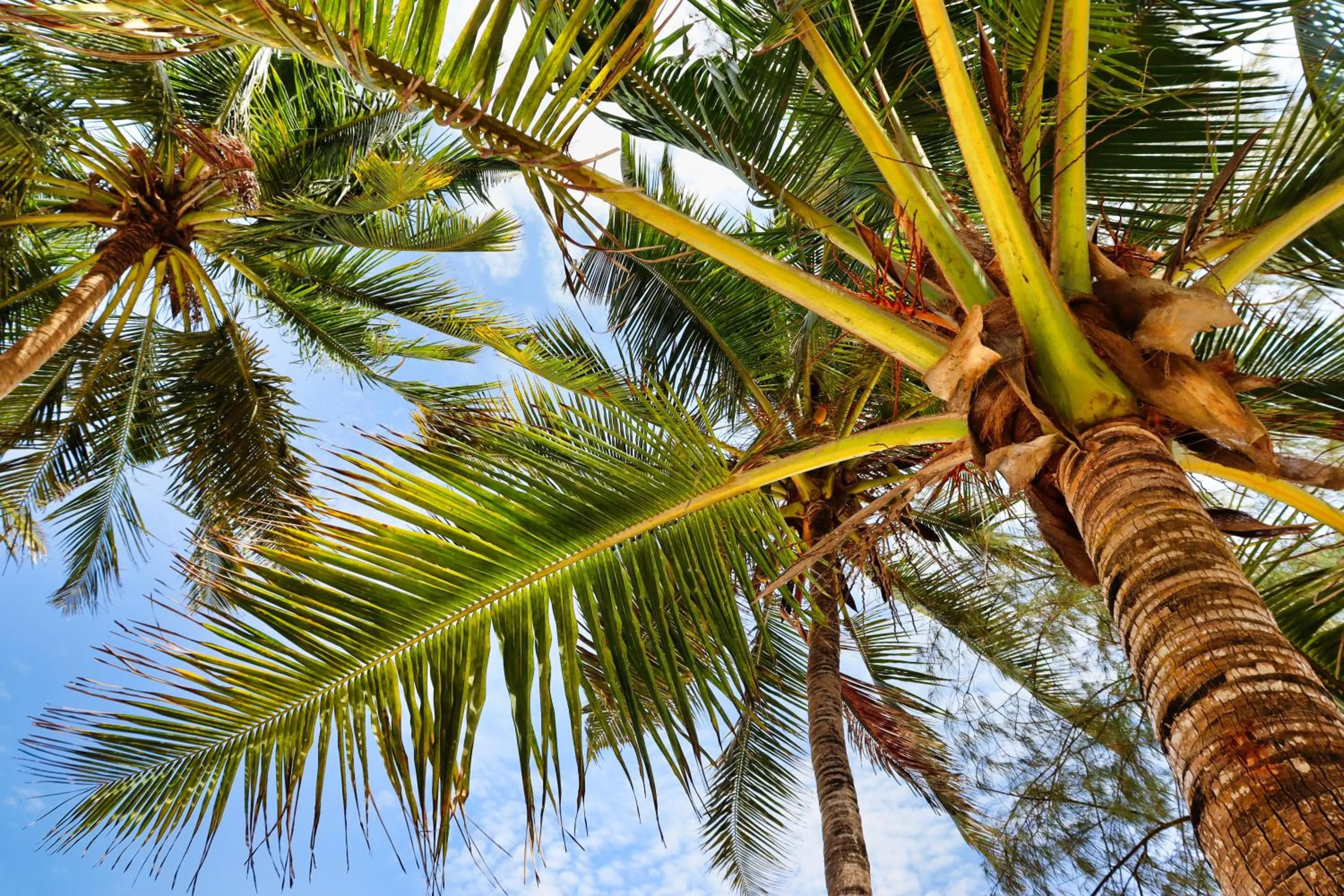 Searenity Beach Villa