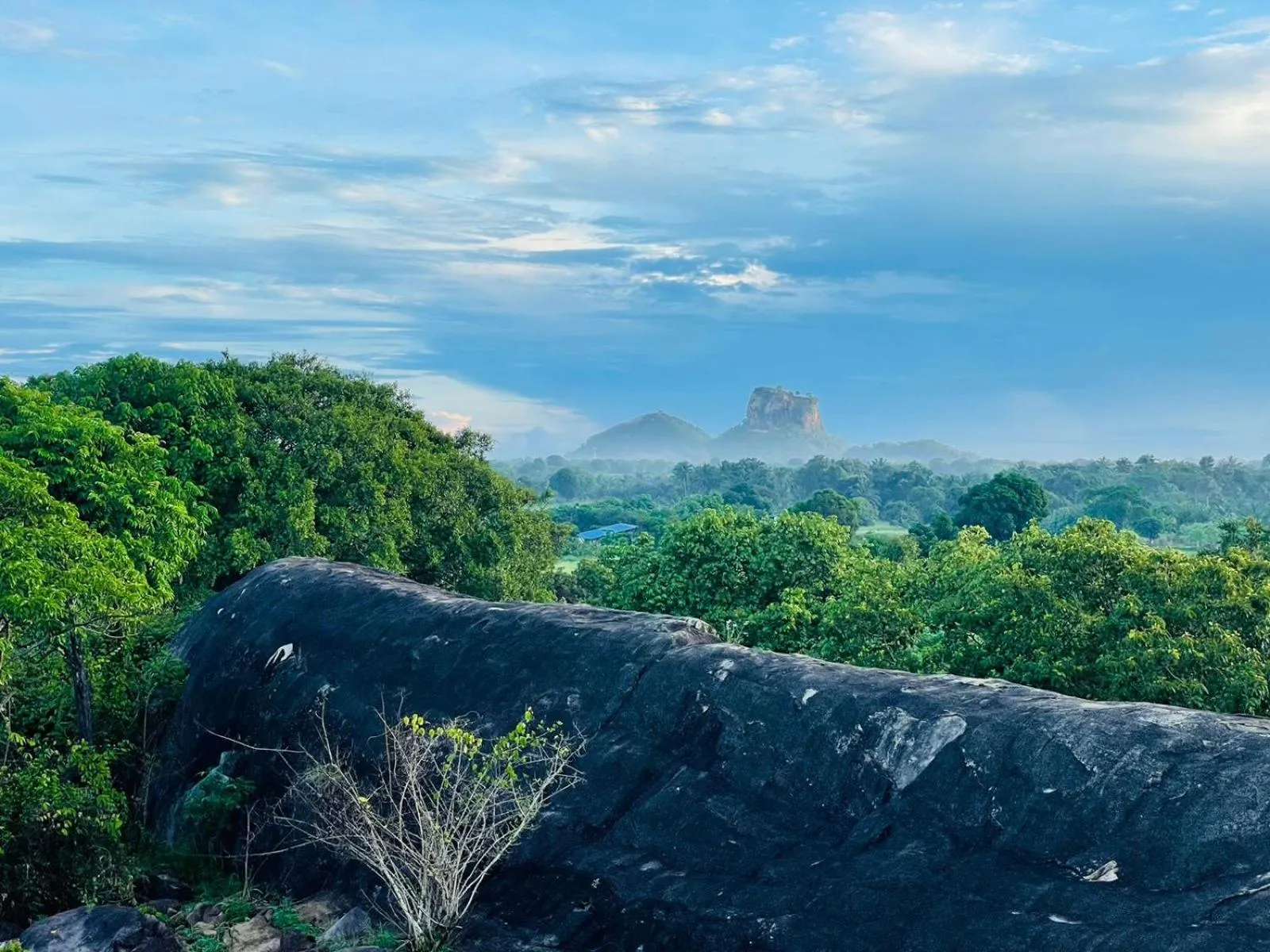 Property building in Birdwing Sigiriya