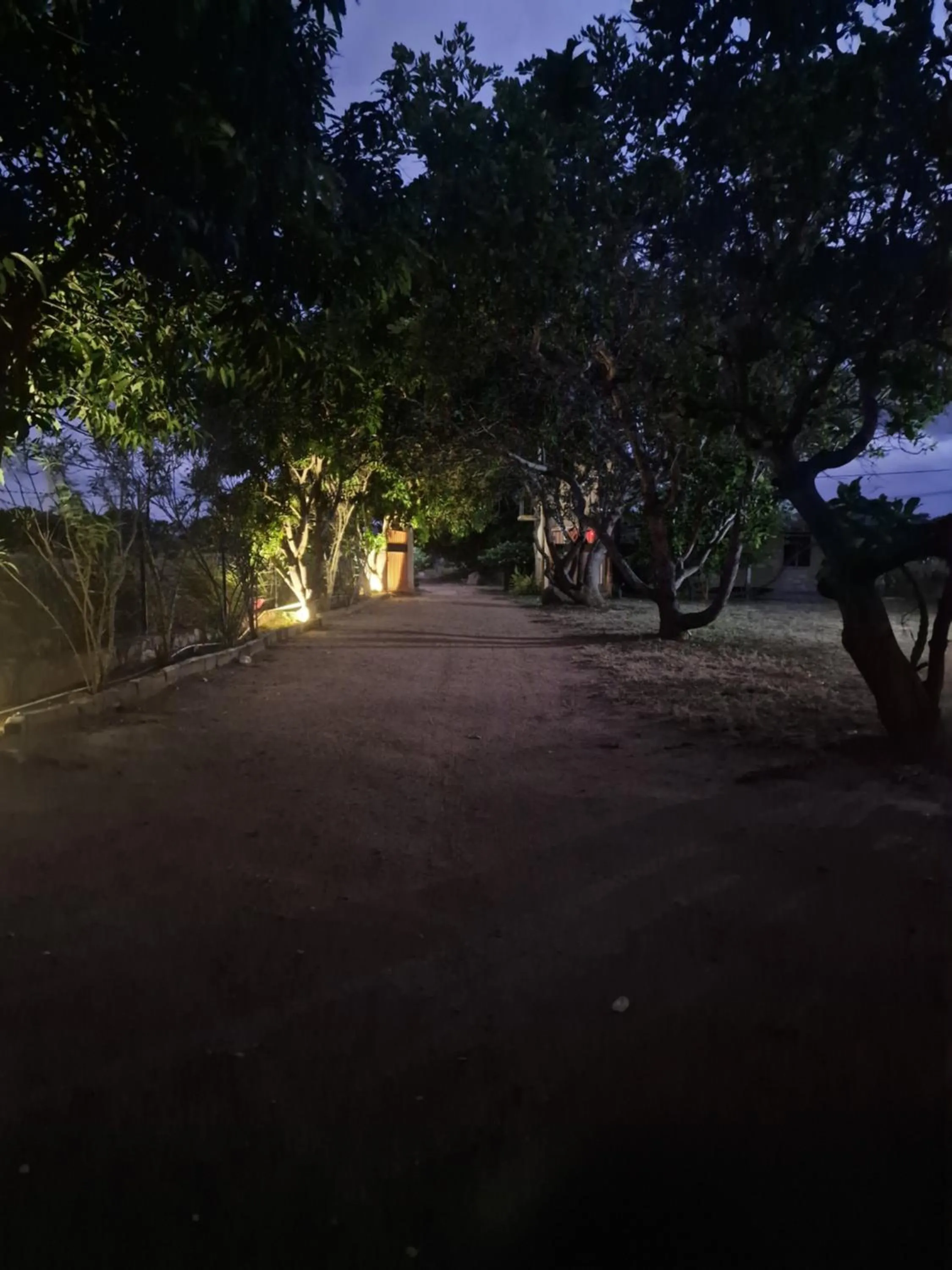 Night in Birdwing Sigiriya