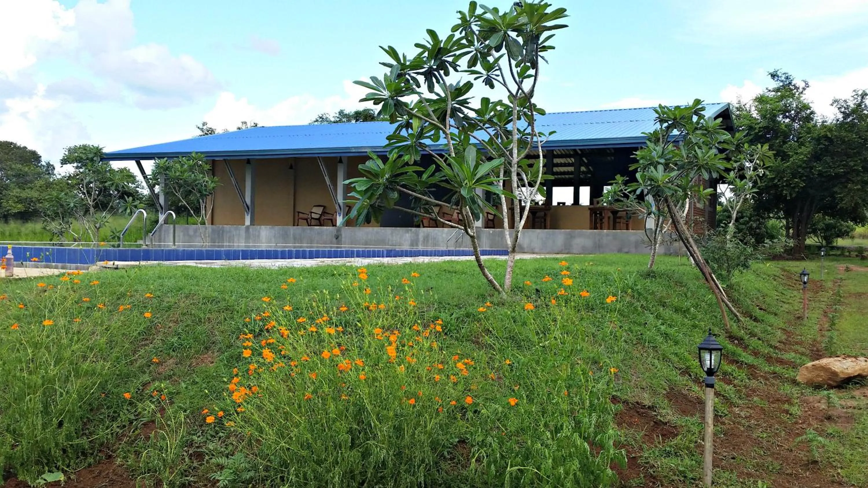 Property building in Birdwing Sigiriya
