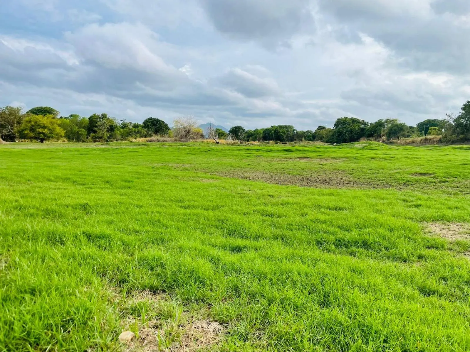 Day in Birdwing Sigiriya