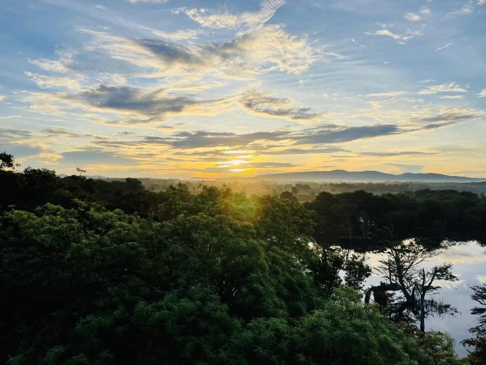 Natural landscape in Birdwing Sigiriya