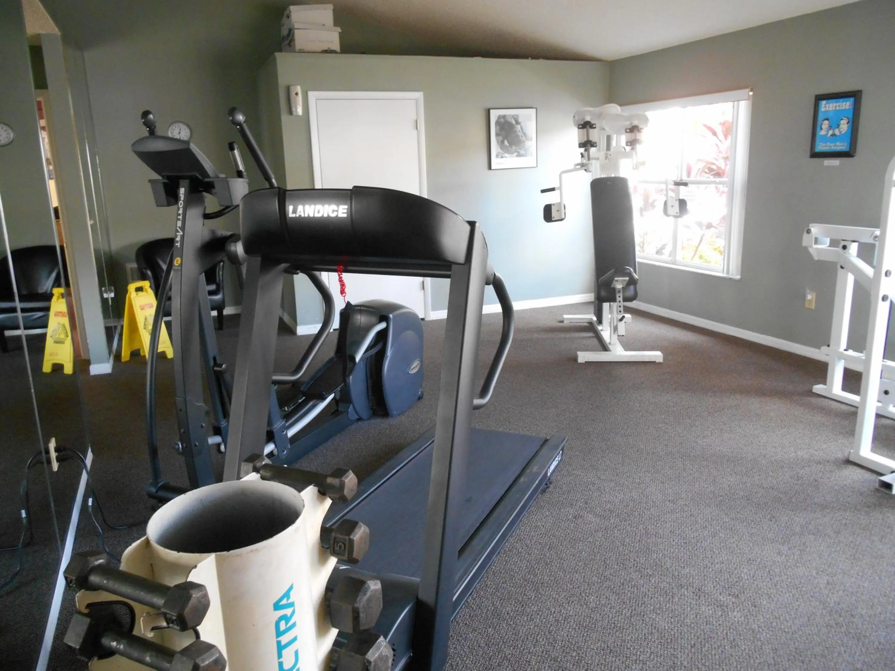 Fitness centre/facilities in Mickey's Paradise