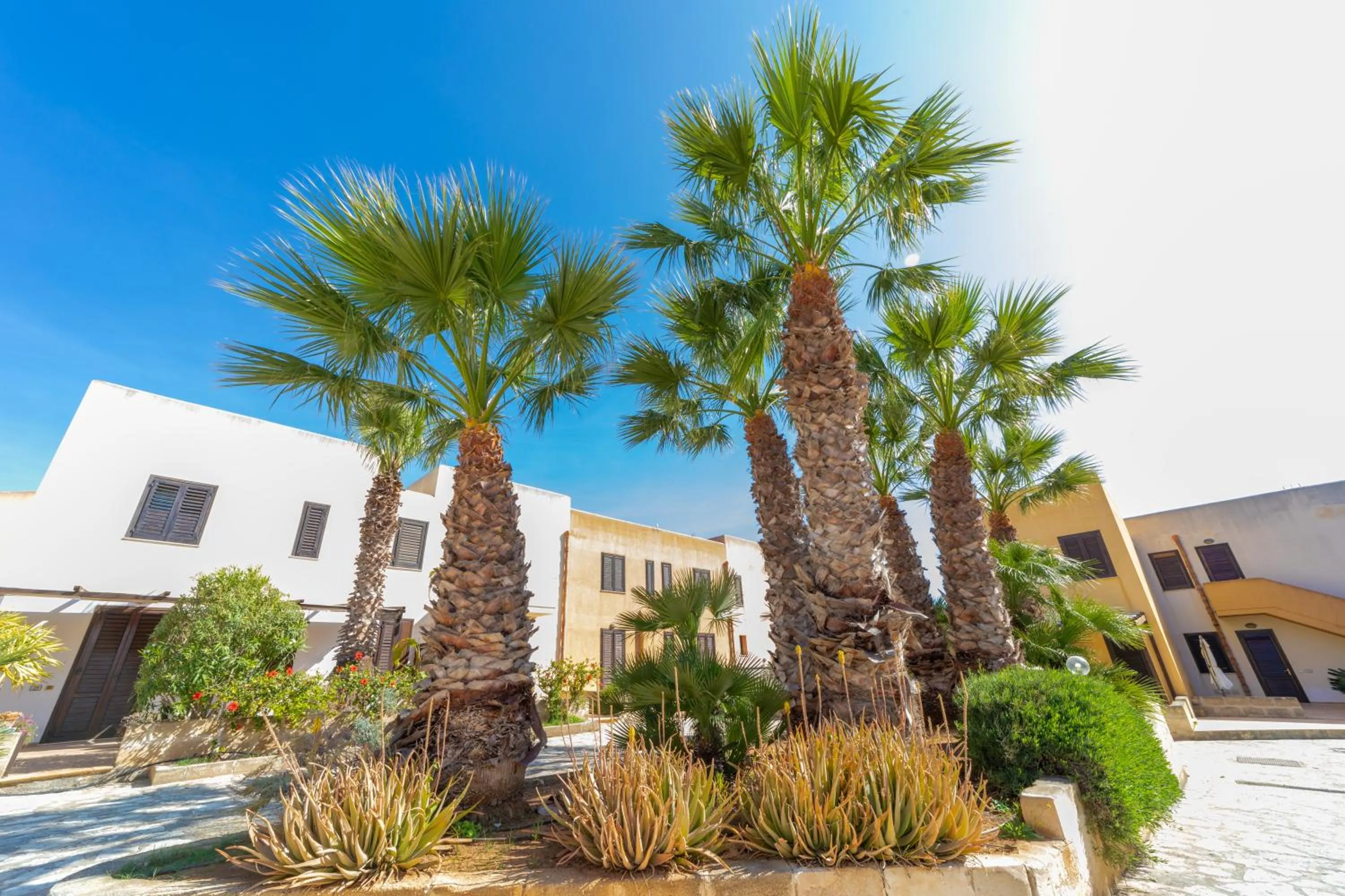 Property building in Elimi Favignana Apartments - Residence in città