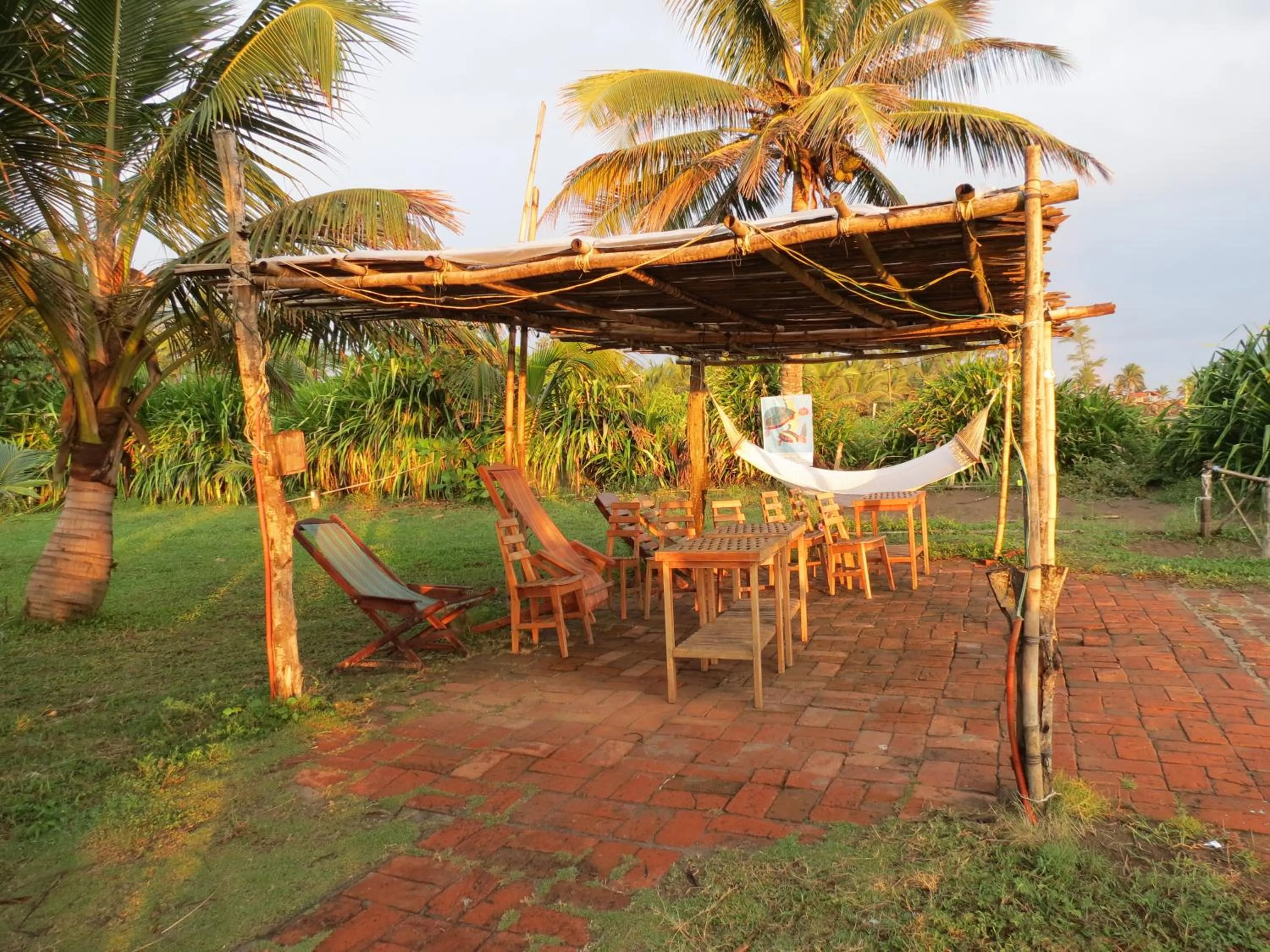 Garden view in Eco Coco Loco by Rotamundos