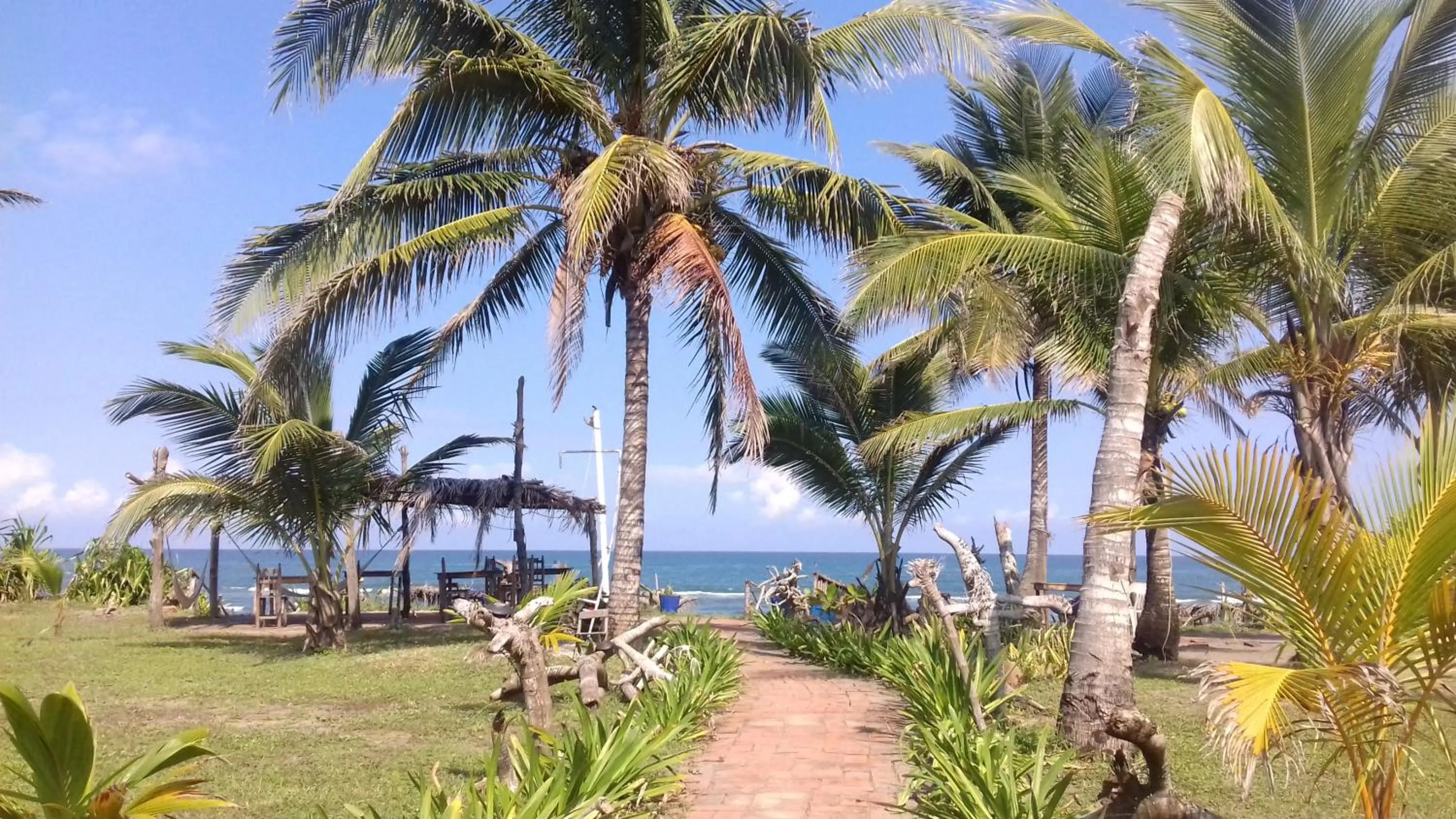 Natural landscape in Eco Coco Loco by Rotamundos