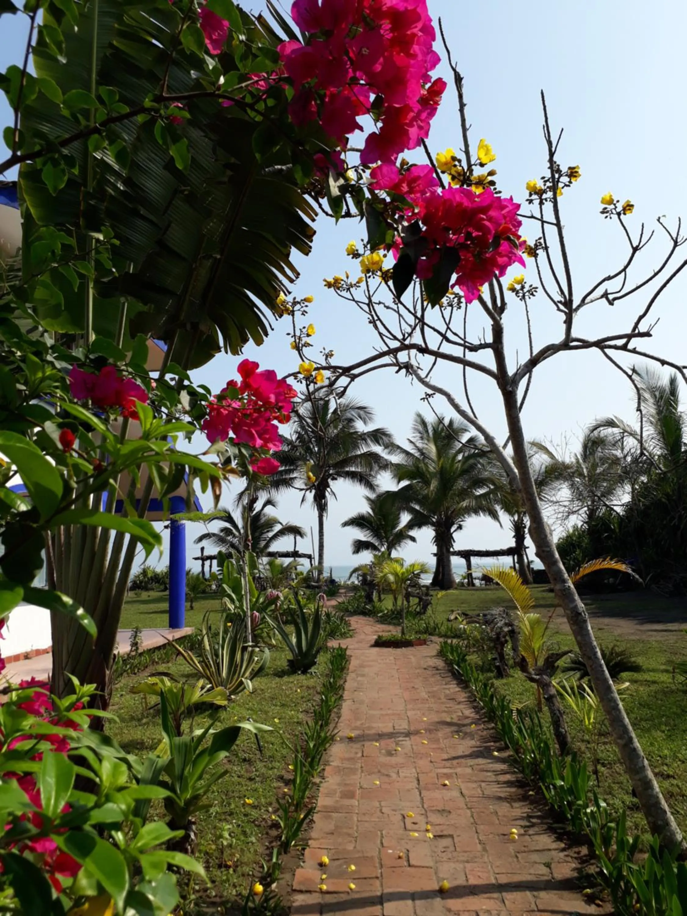 Garden in Eco Coco Loco by Rotamundos