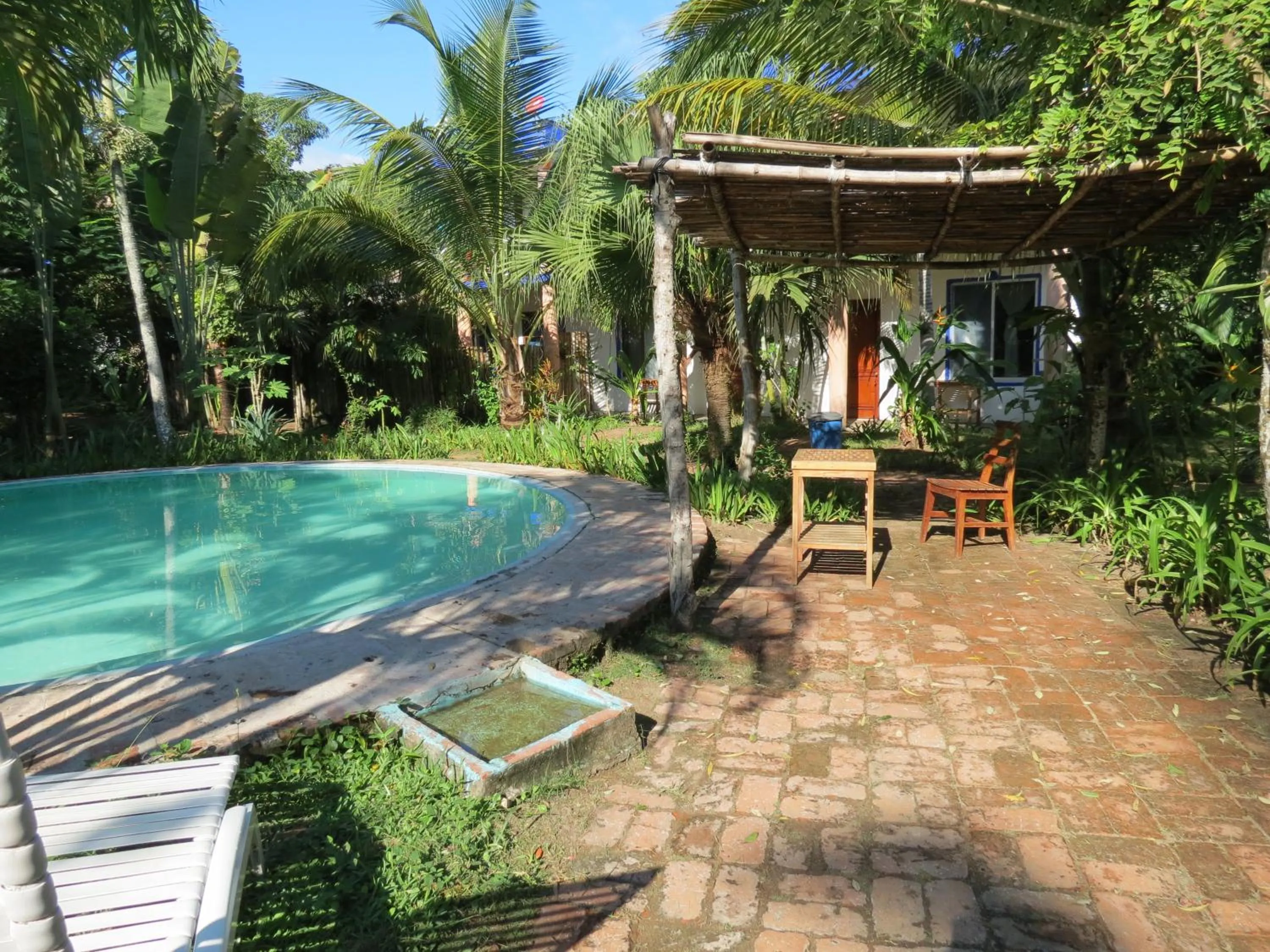 Swimming pool in Eco Coco Loco by Rotamundos