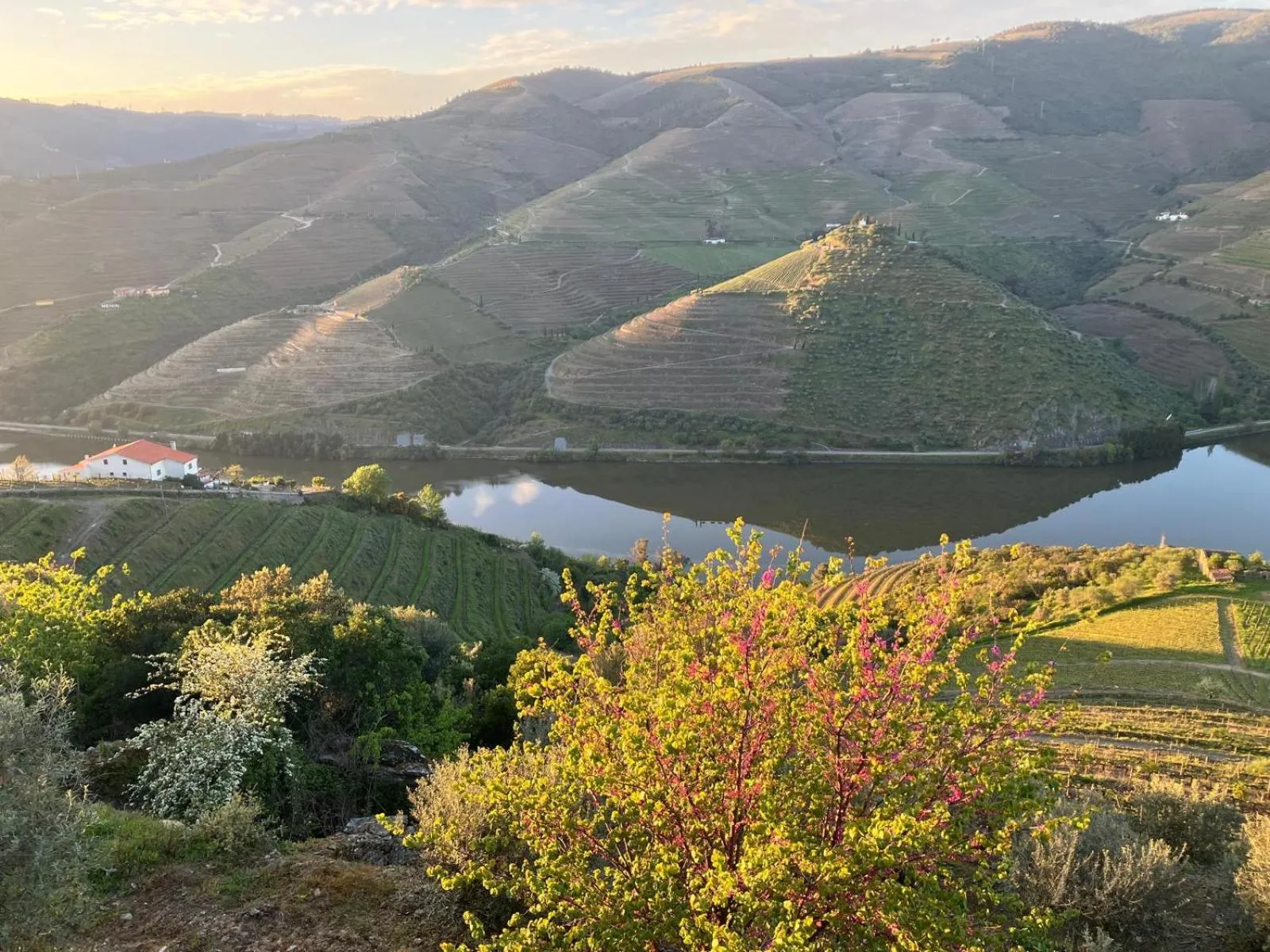 Nearby landmark in Plácido Hotel Douro - Tabuaço