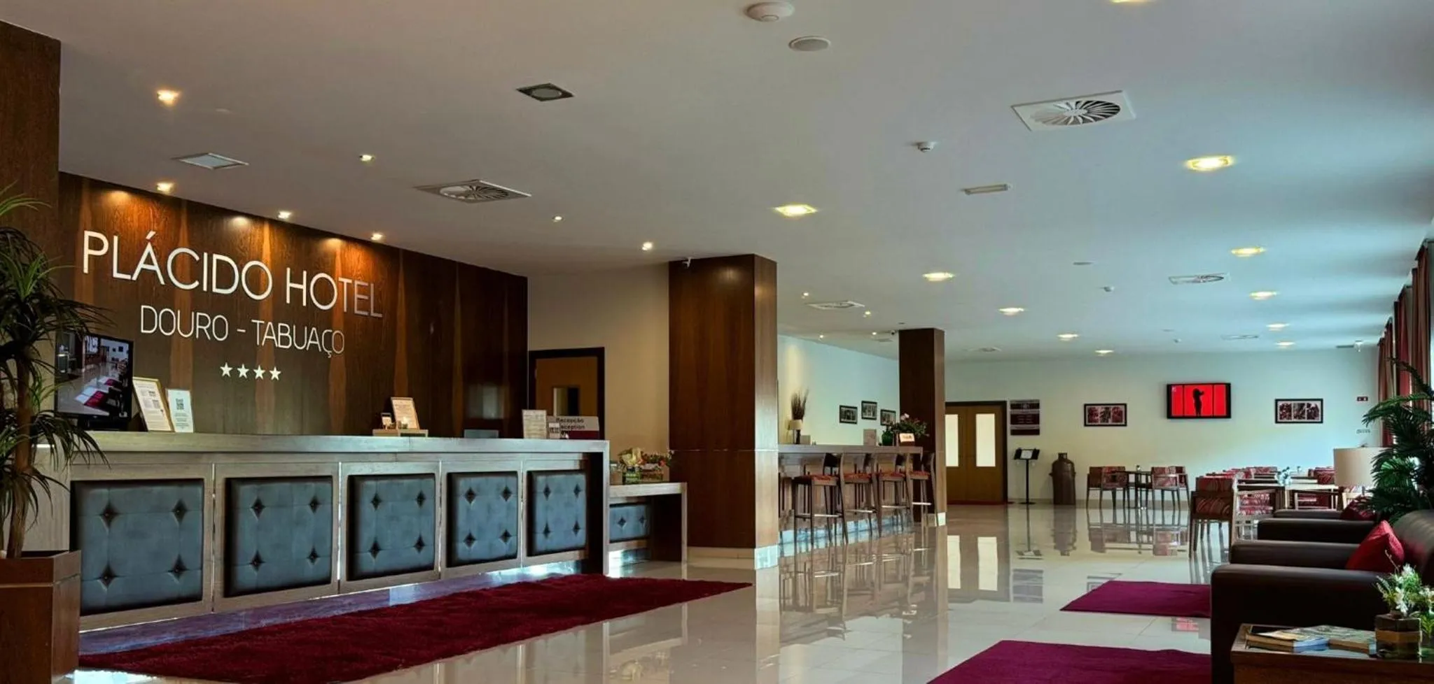 TV and multimedia in Plácido Hotel Douro - Tabuaço