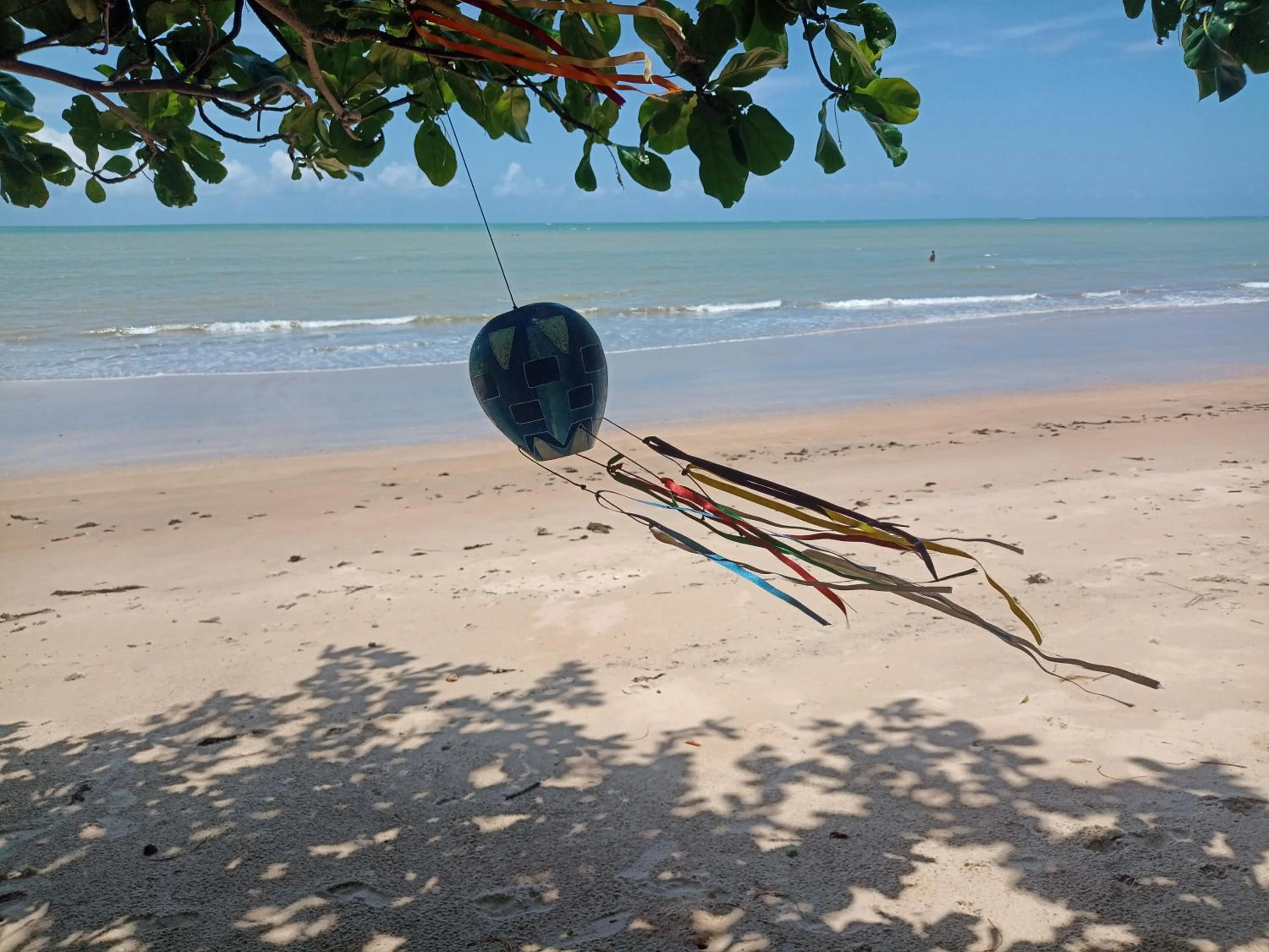 Natural landscape in Pousada ZEN Cumuruxatiba