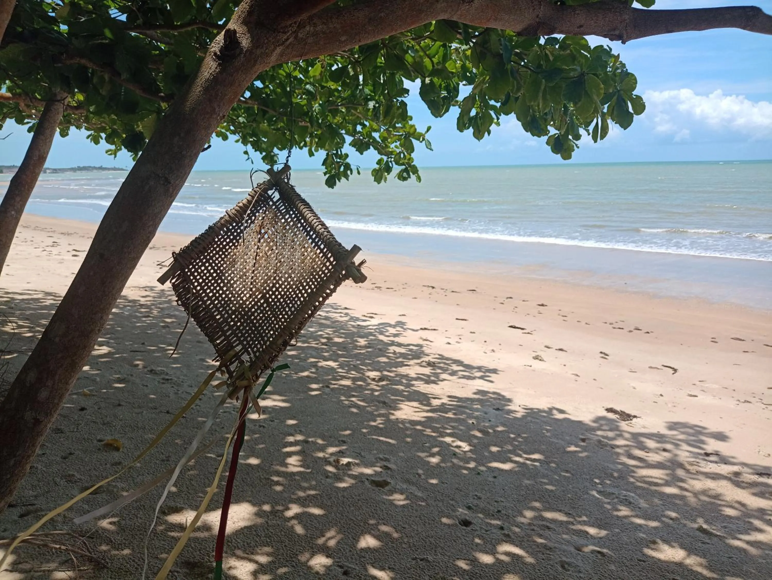Natural landscape in Pousada ZEN Cumuruxatiba
