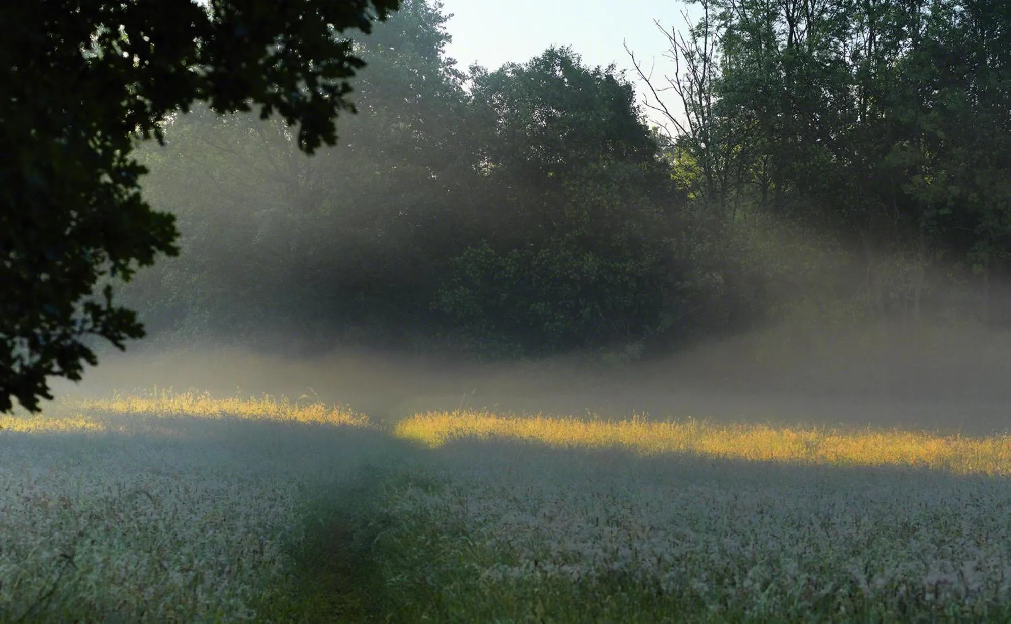 Parkhotel Wienburg Münster