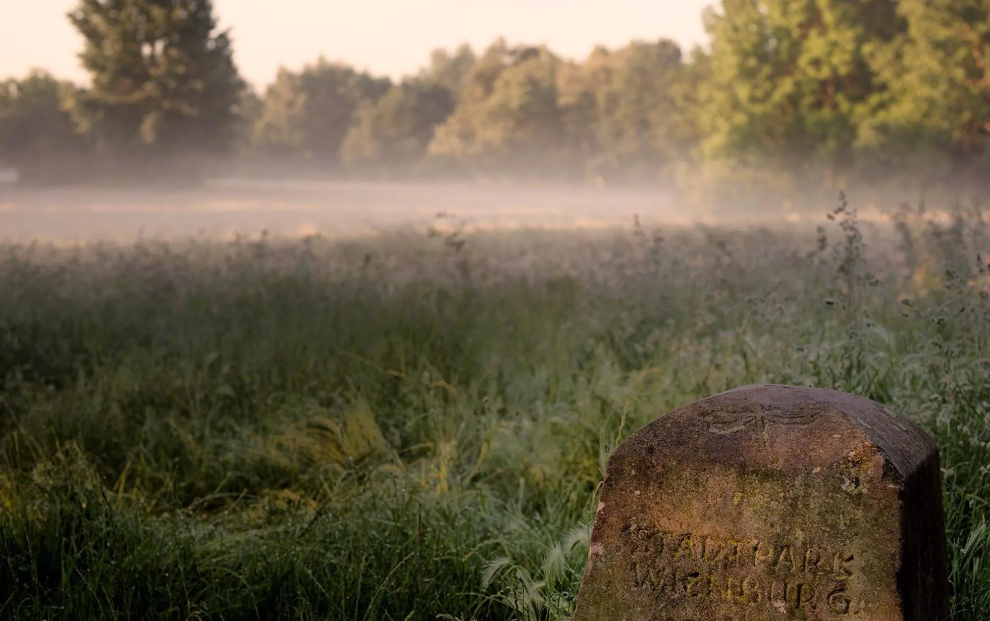 Nearby landmark in Parkhotel Wienburg Münster