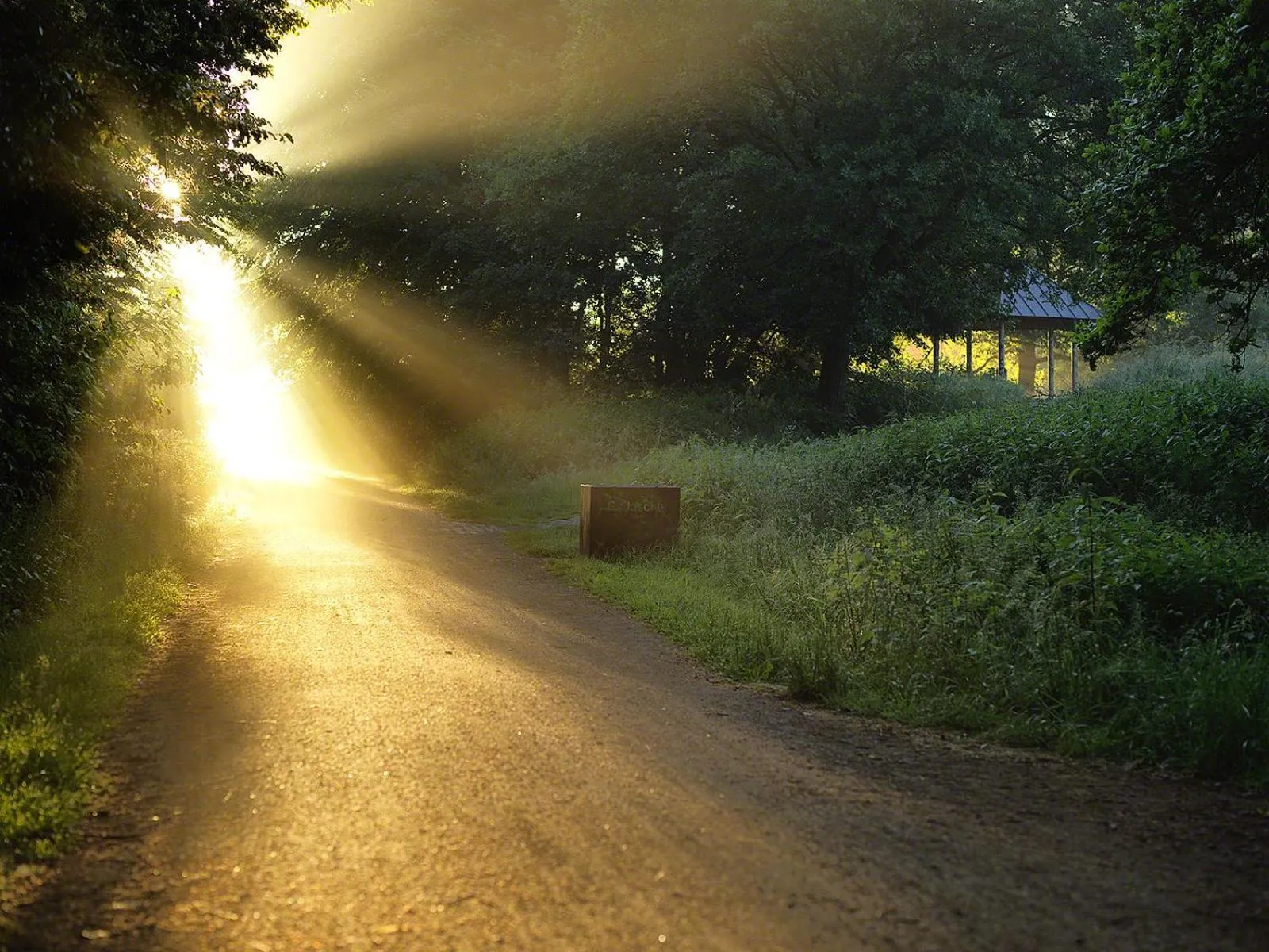 Staff in Parkhotel Wienburg Münster