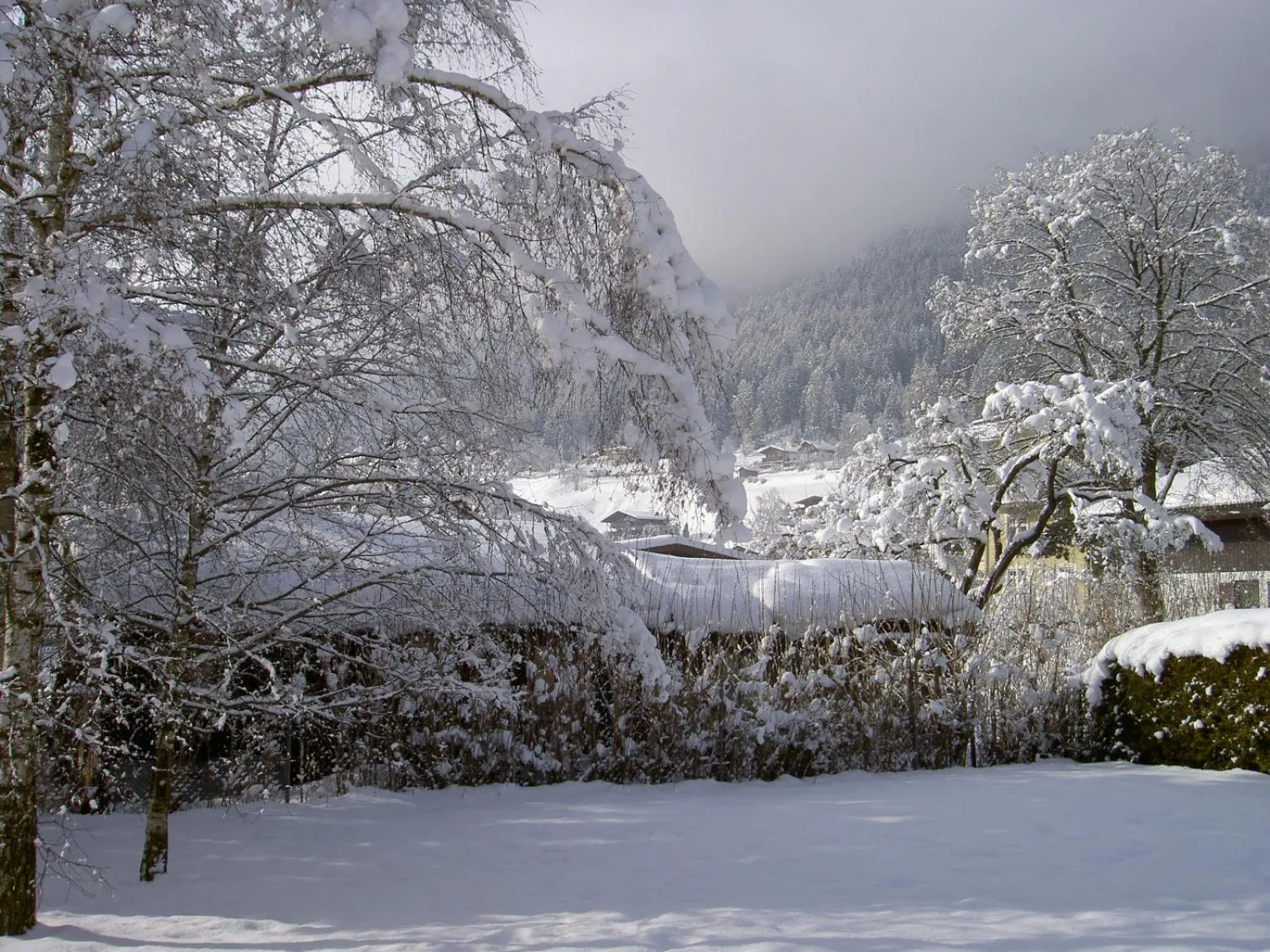 Winter in Appartement Pavillon
