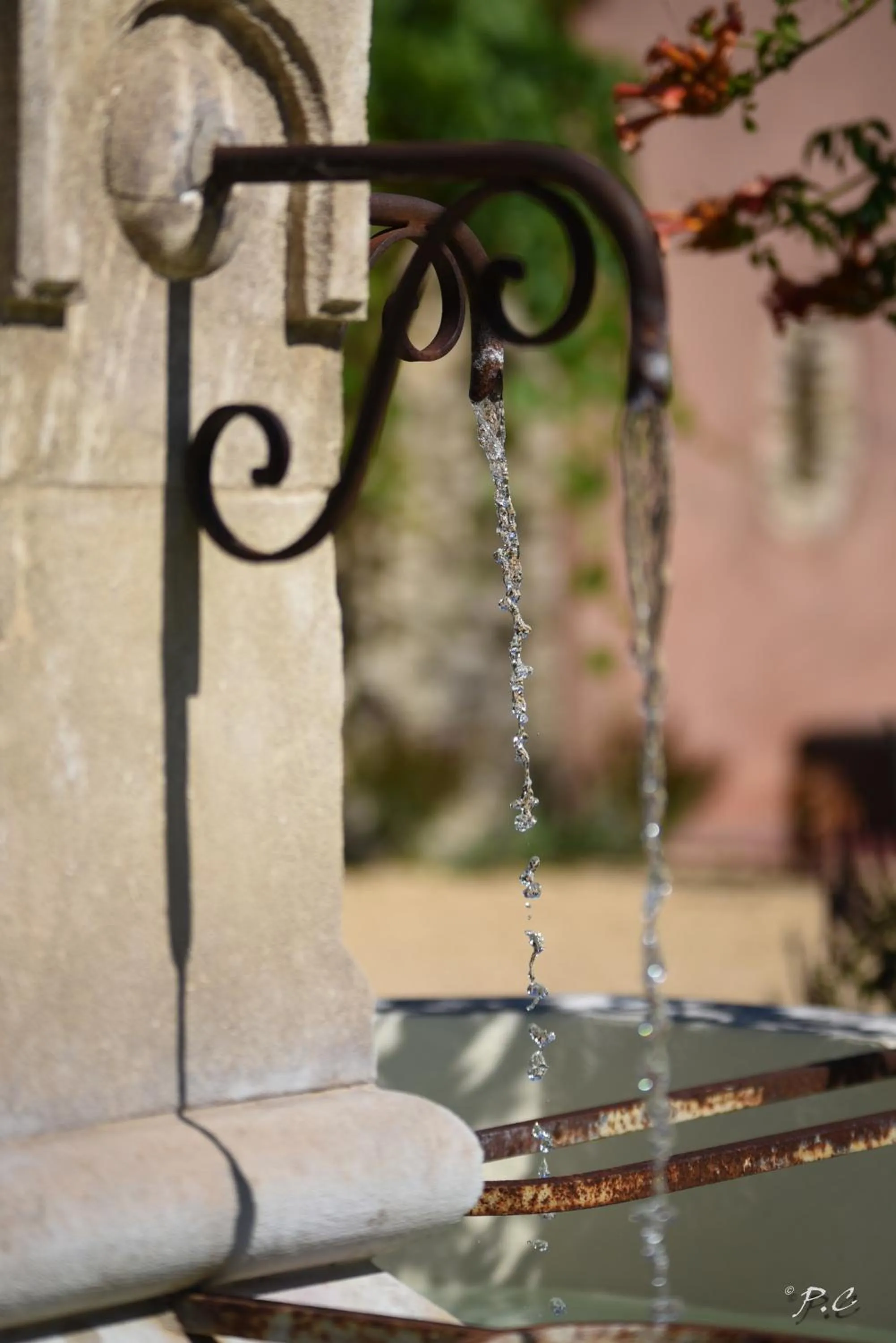 Garden in Le Mas Carré Séguret