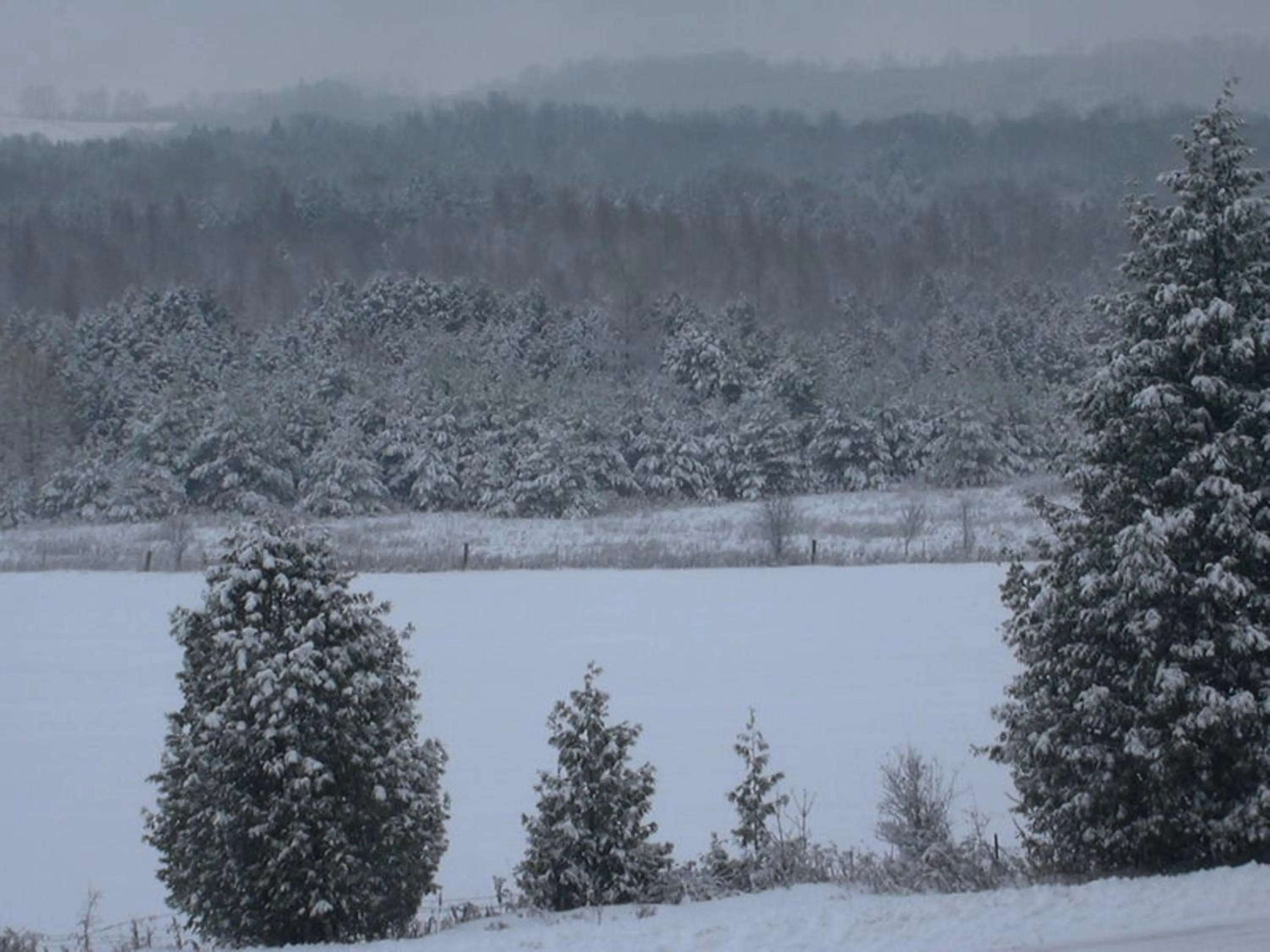 View (from property/room) in Our Valley View Bed & Breakfast