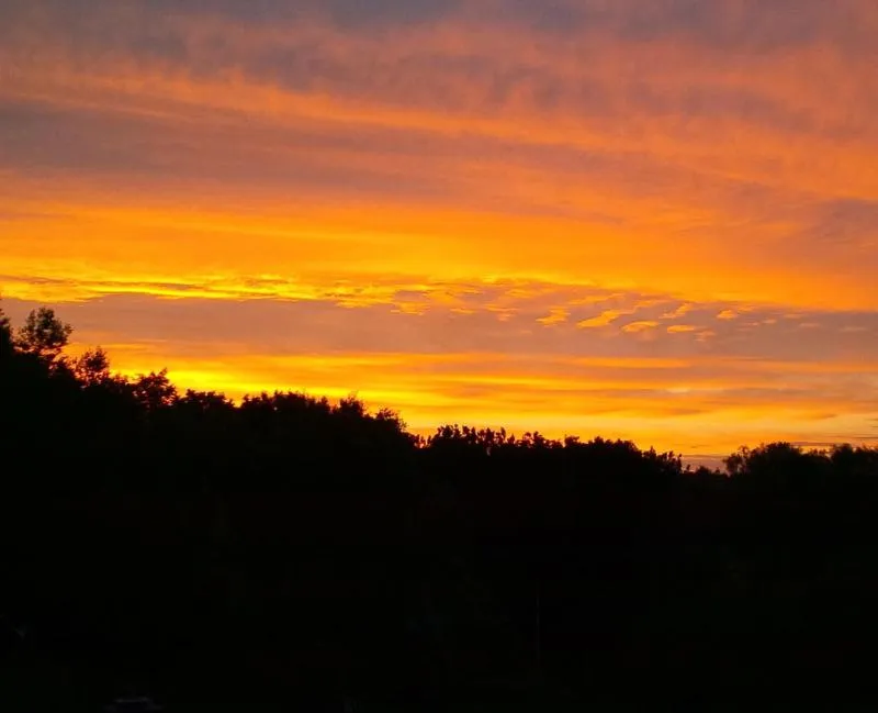 View (from property/room) in Our Valley View Bed & Breakfast